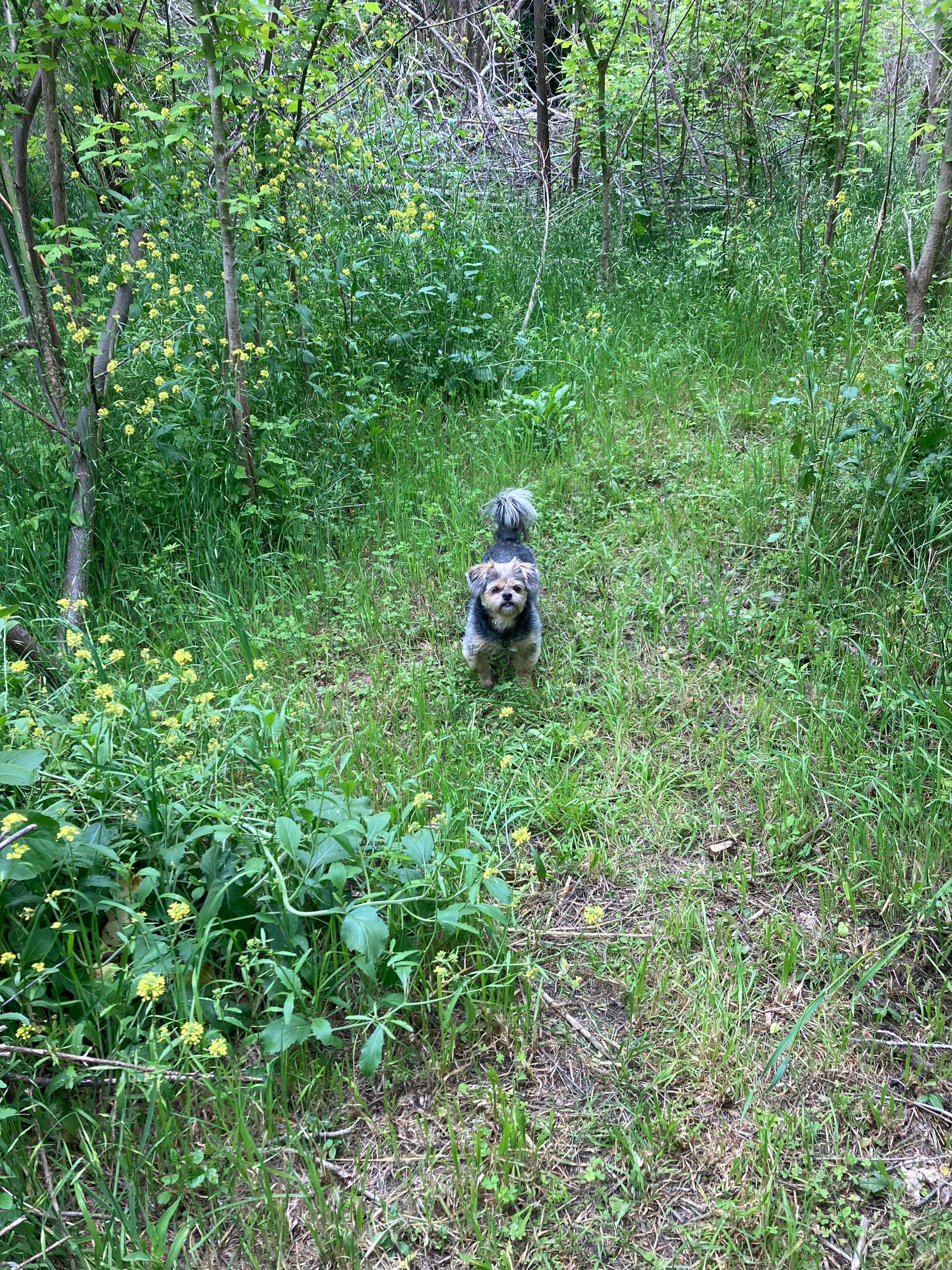 McDonald Farm on the River