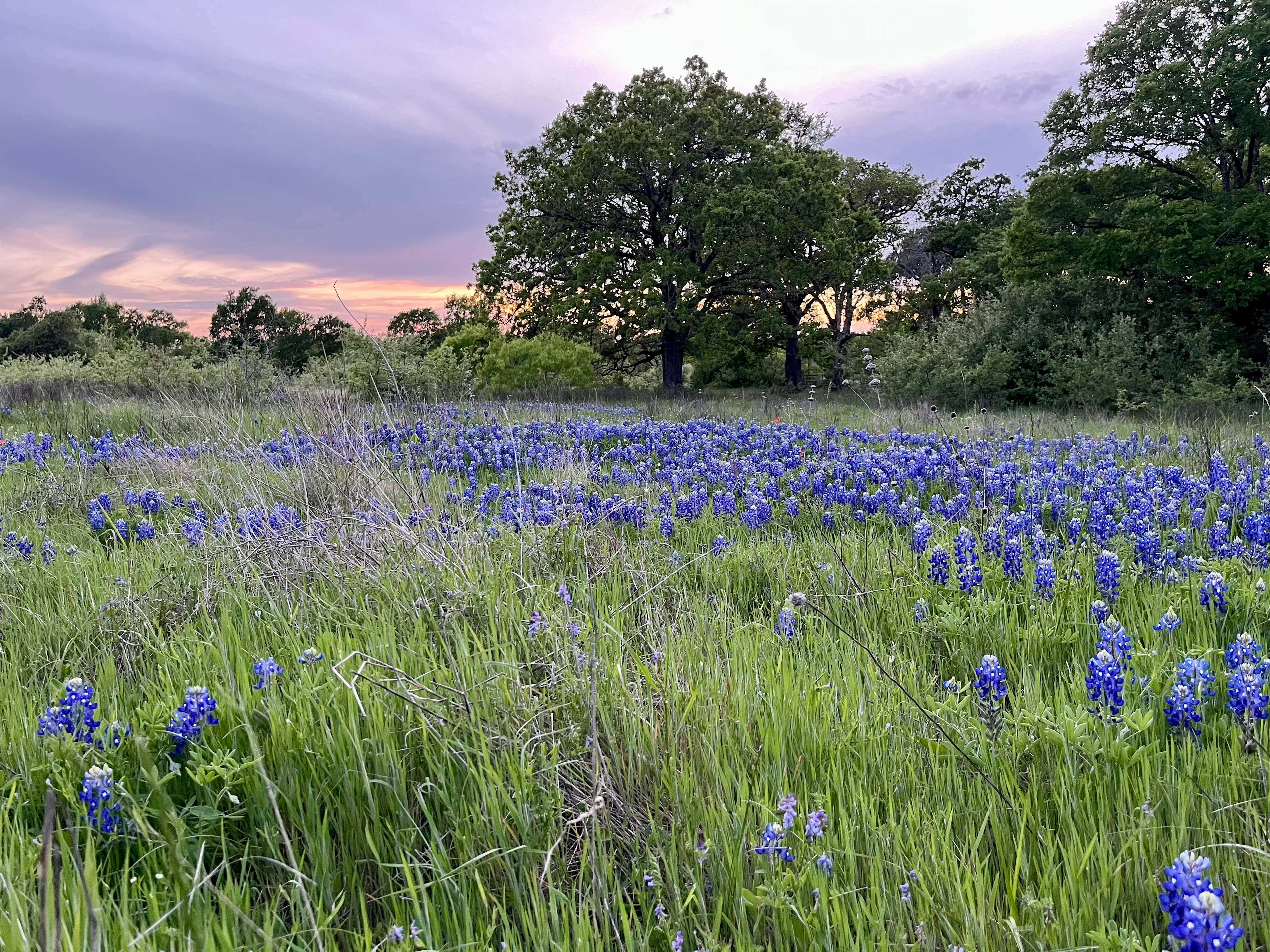 The Navasota River Ranch