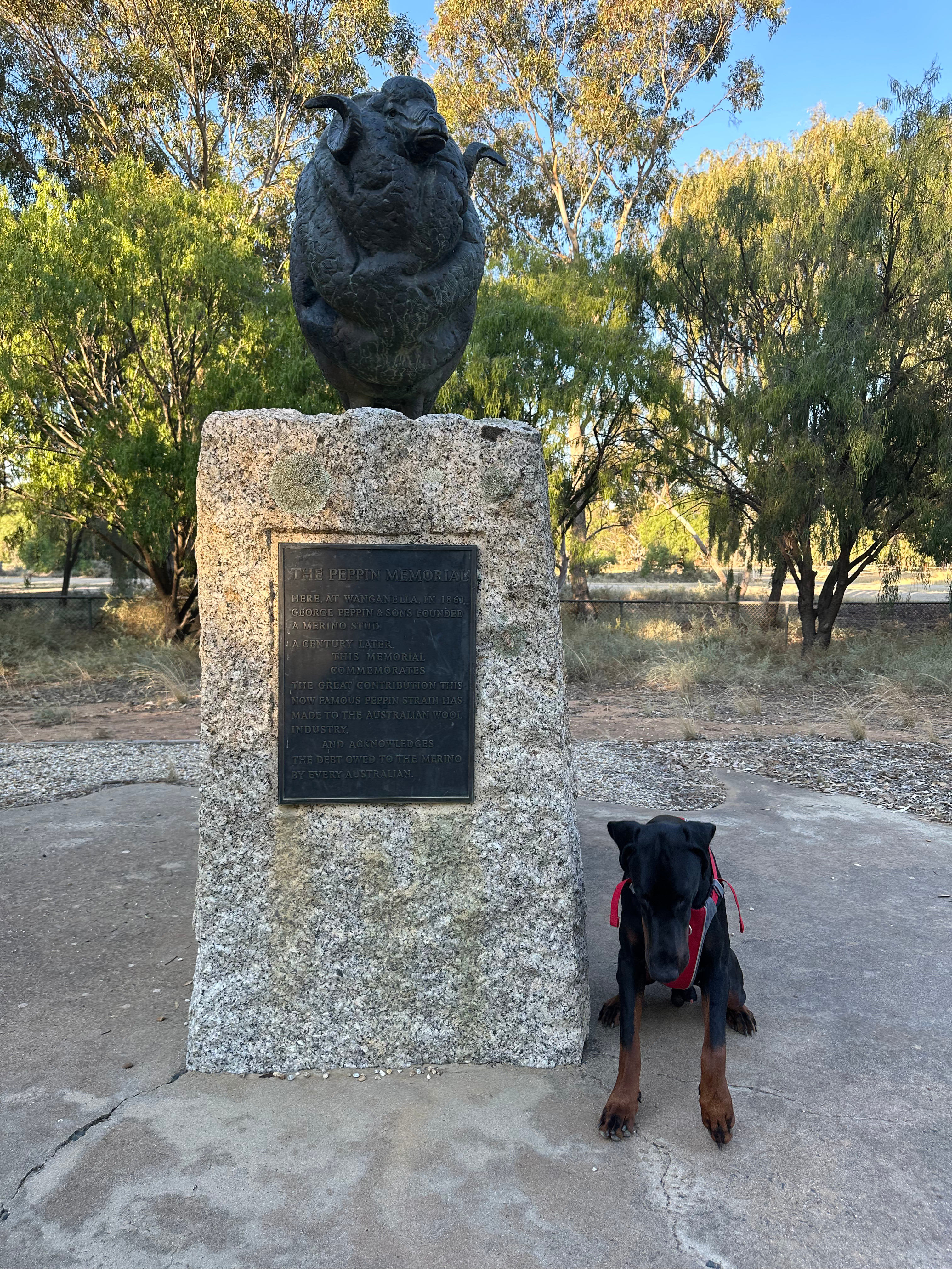 Wanganella Camp Park