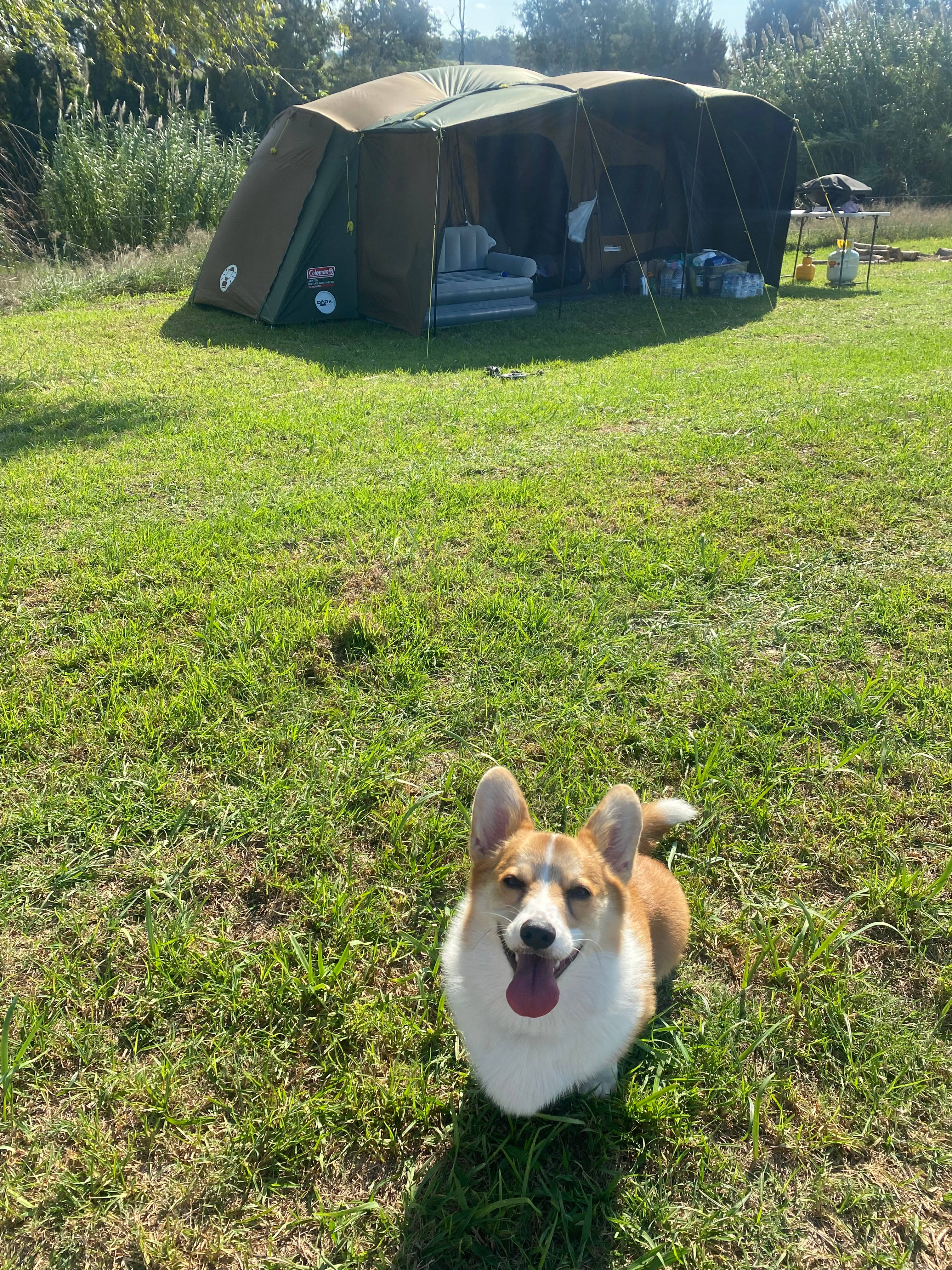 Rosebrook River Camp