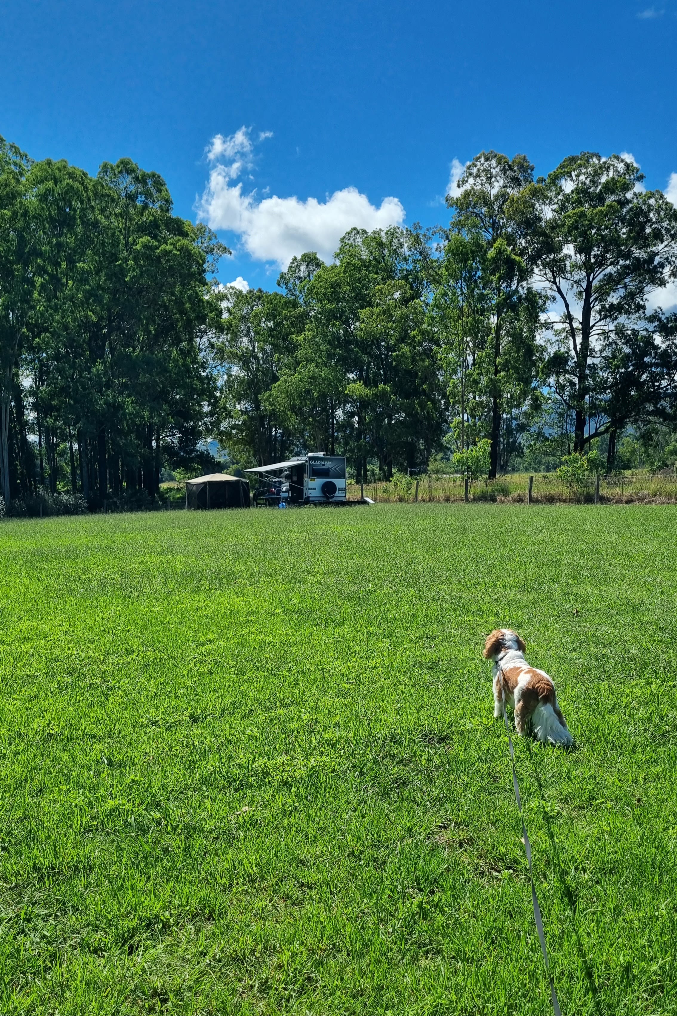 Our little corner on the property