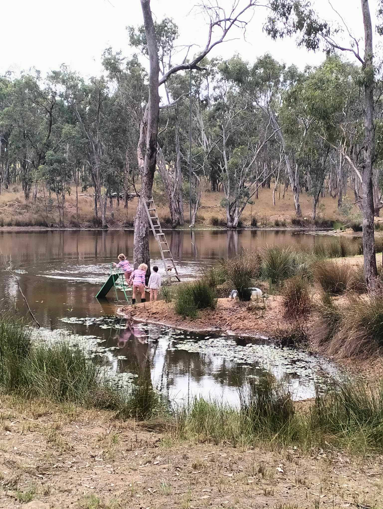 Callemondah Farm/Bush Stay