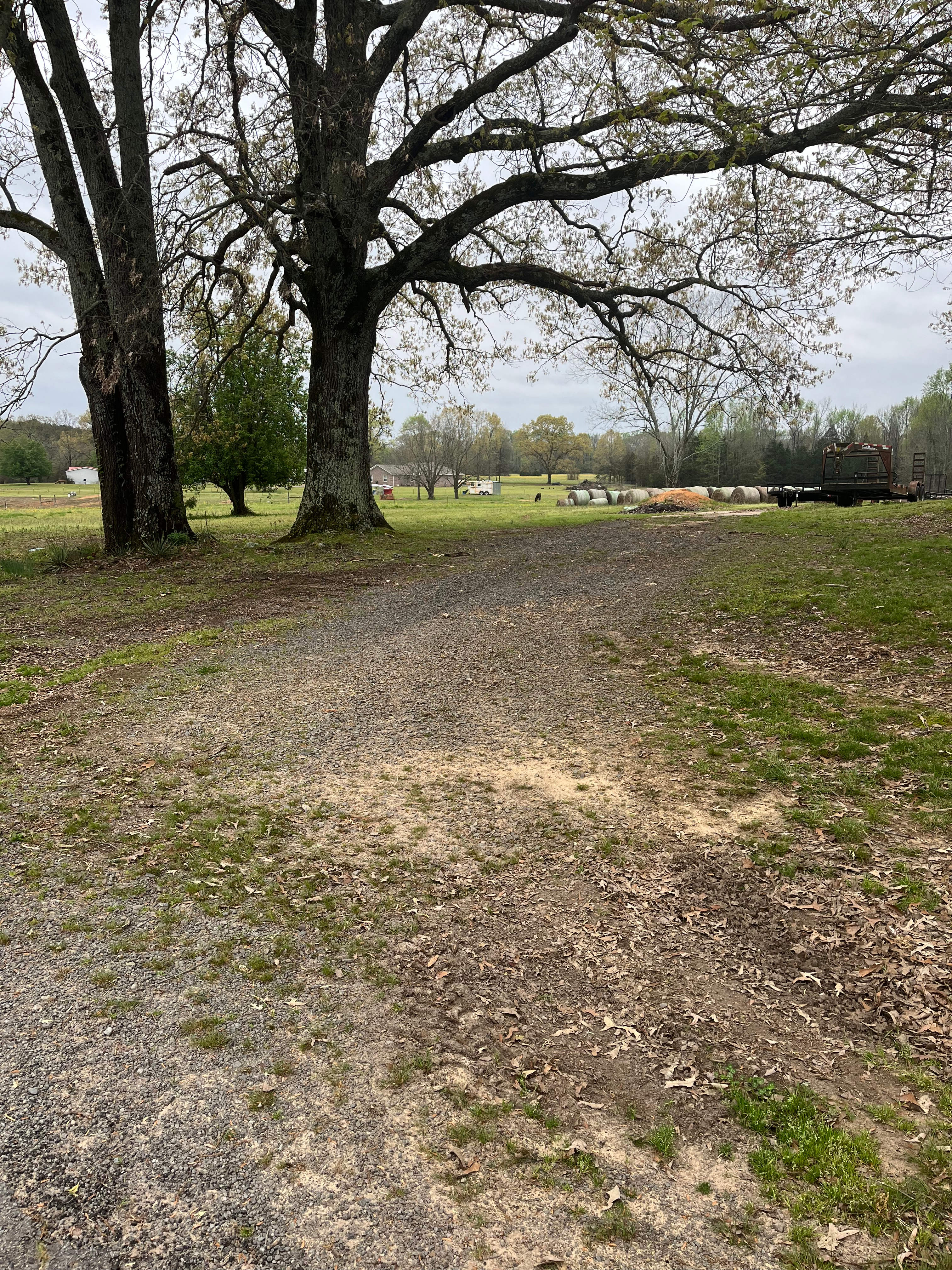 DMB Horse Farm
