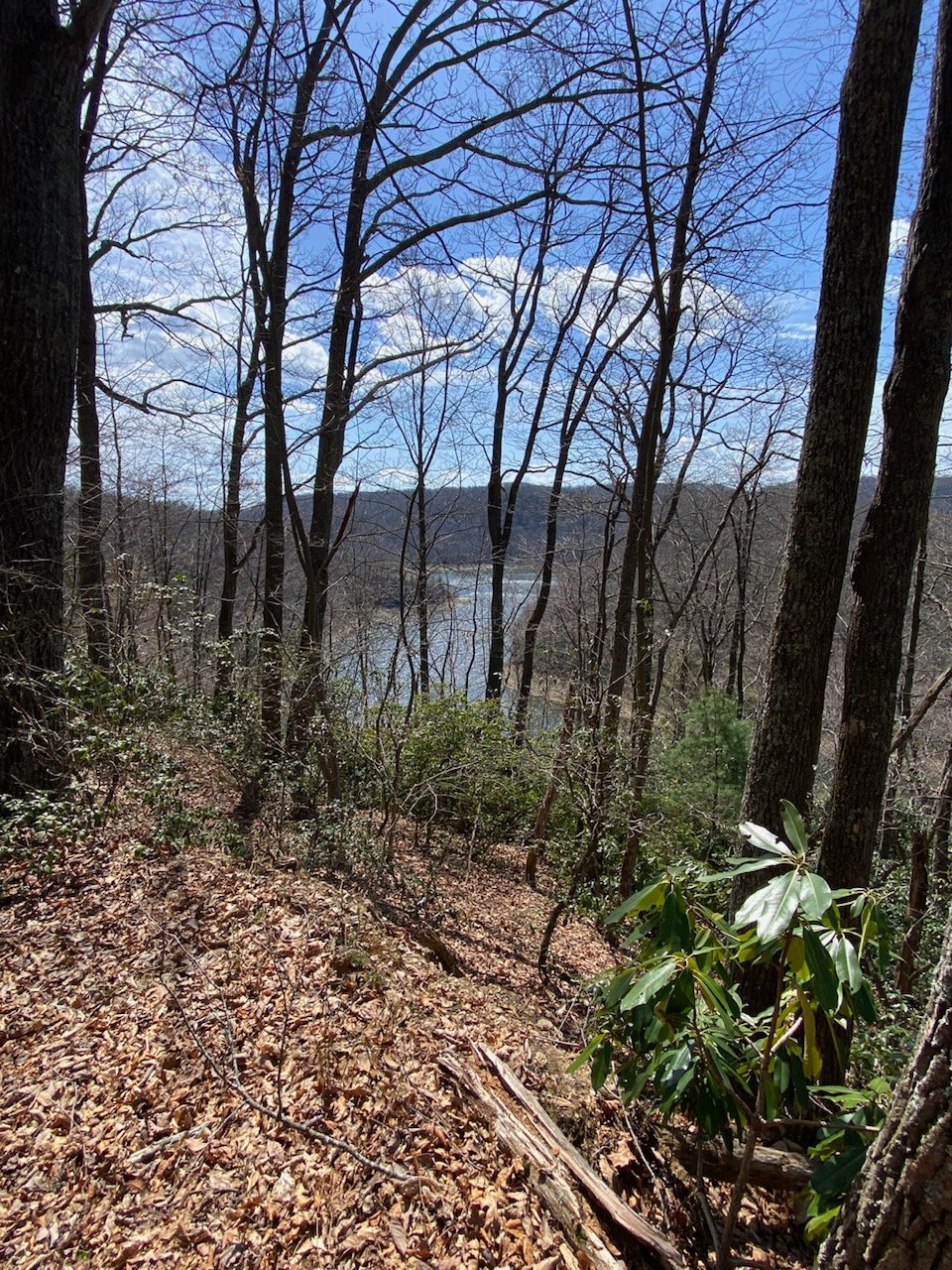 Seasonal View from Walking Trail that encircles Property