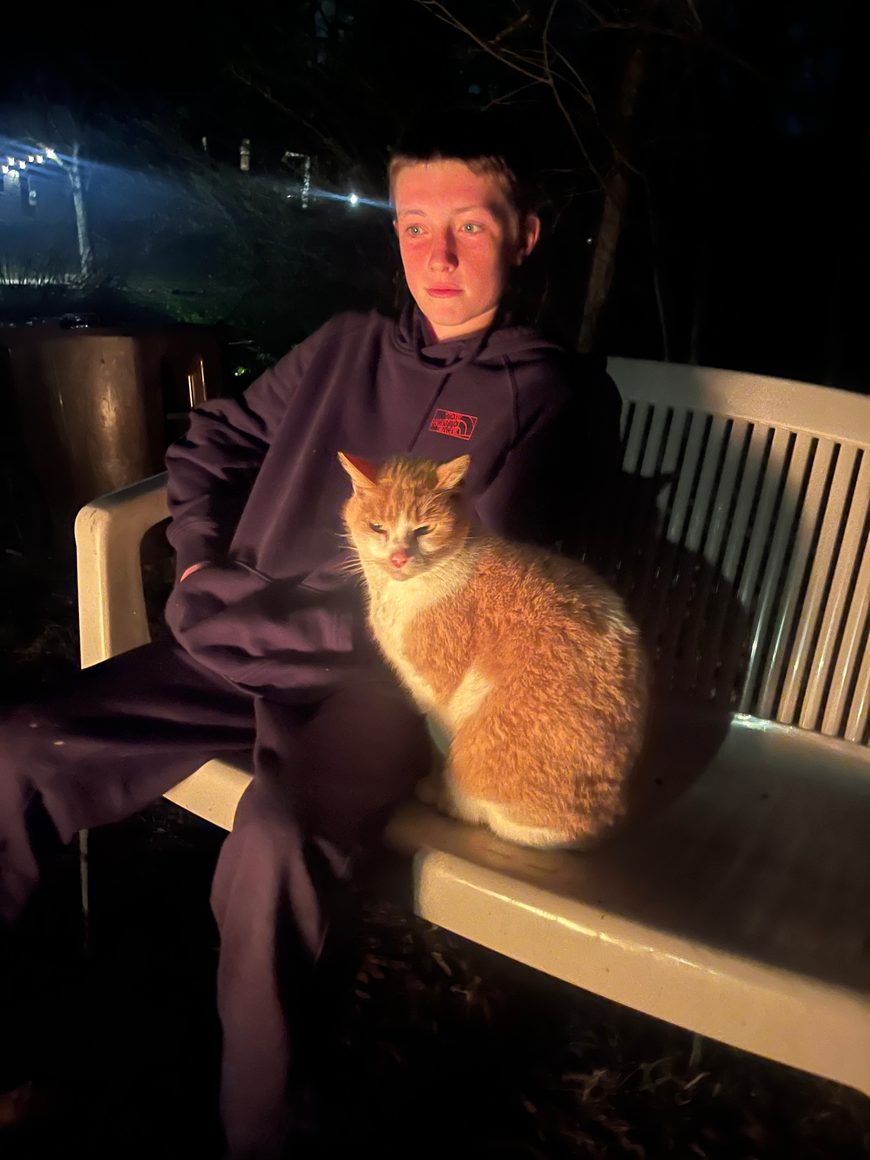 The Camp Cabin at the Hallstead