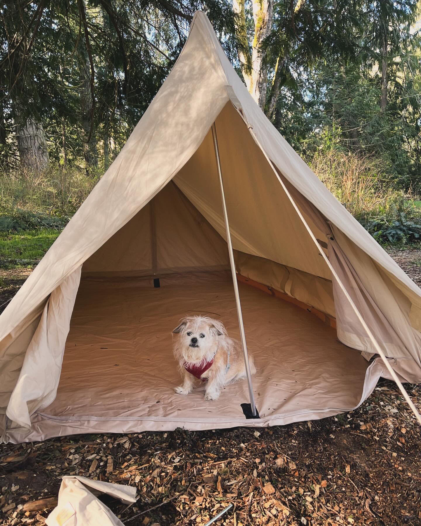 He didn't want to leave.