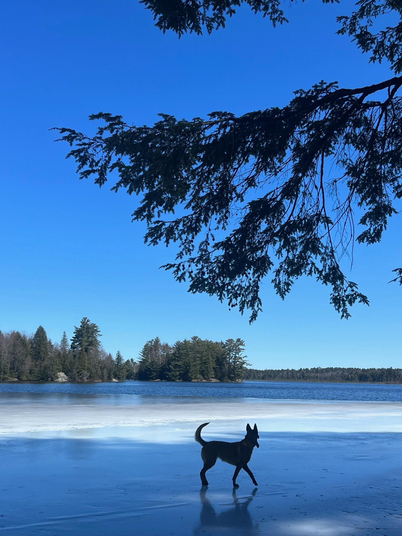 Big Rock Eco Retreat & Campgrounds