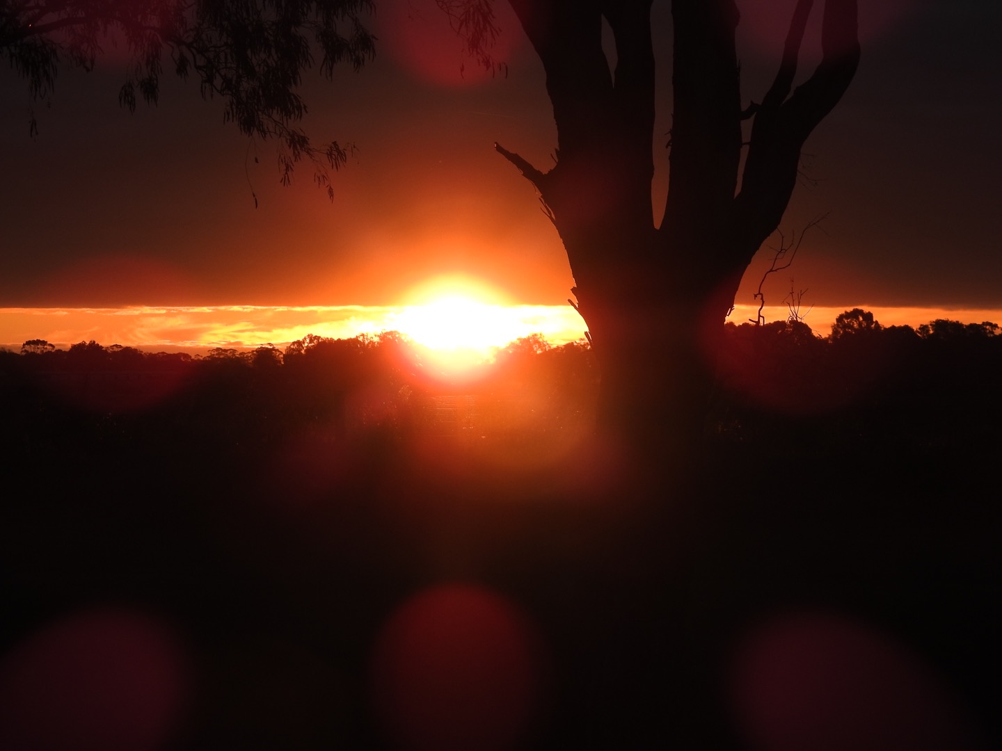 Sunsets and sunrises are just the best 