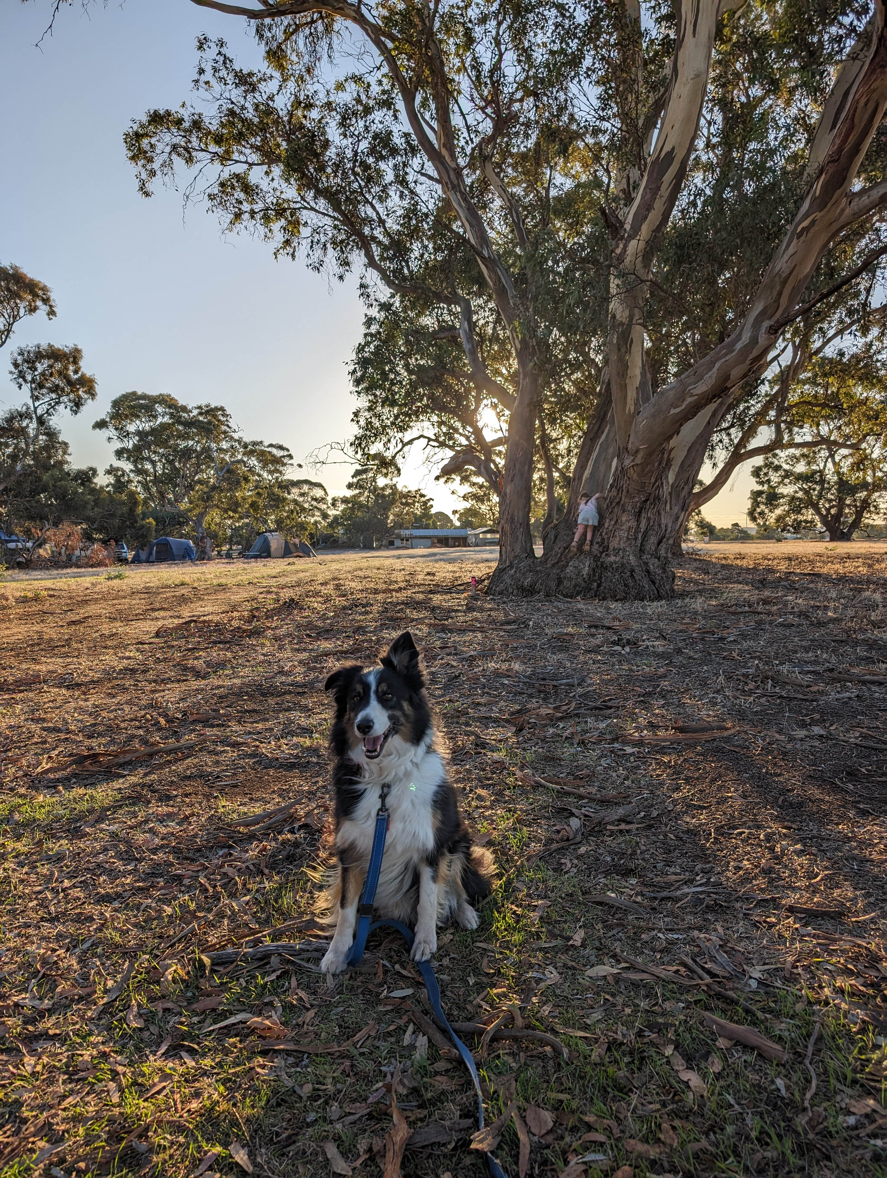 Cartapo Creek - Farm Stay