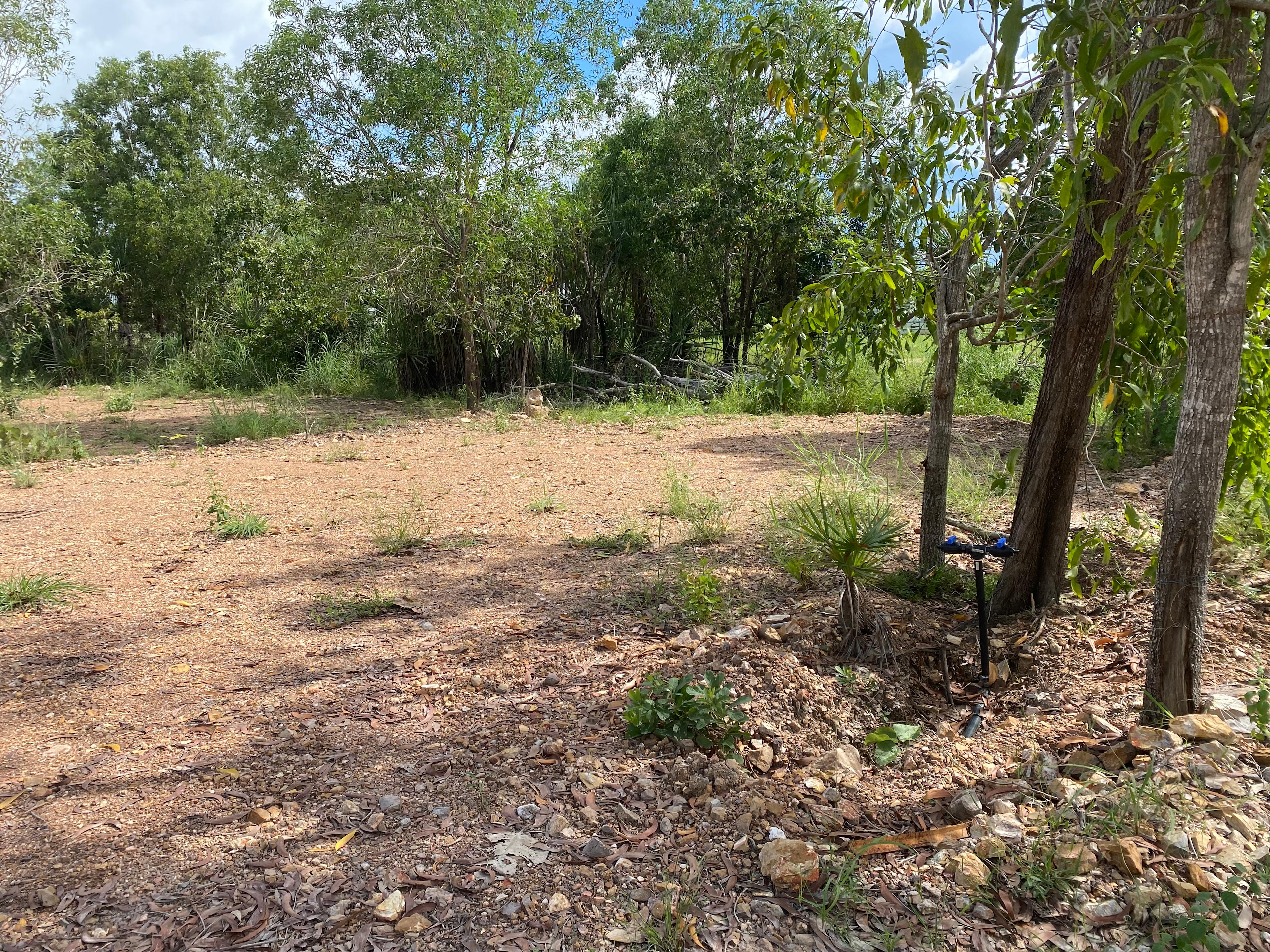 Berry Springs Park and Stay