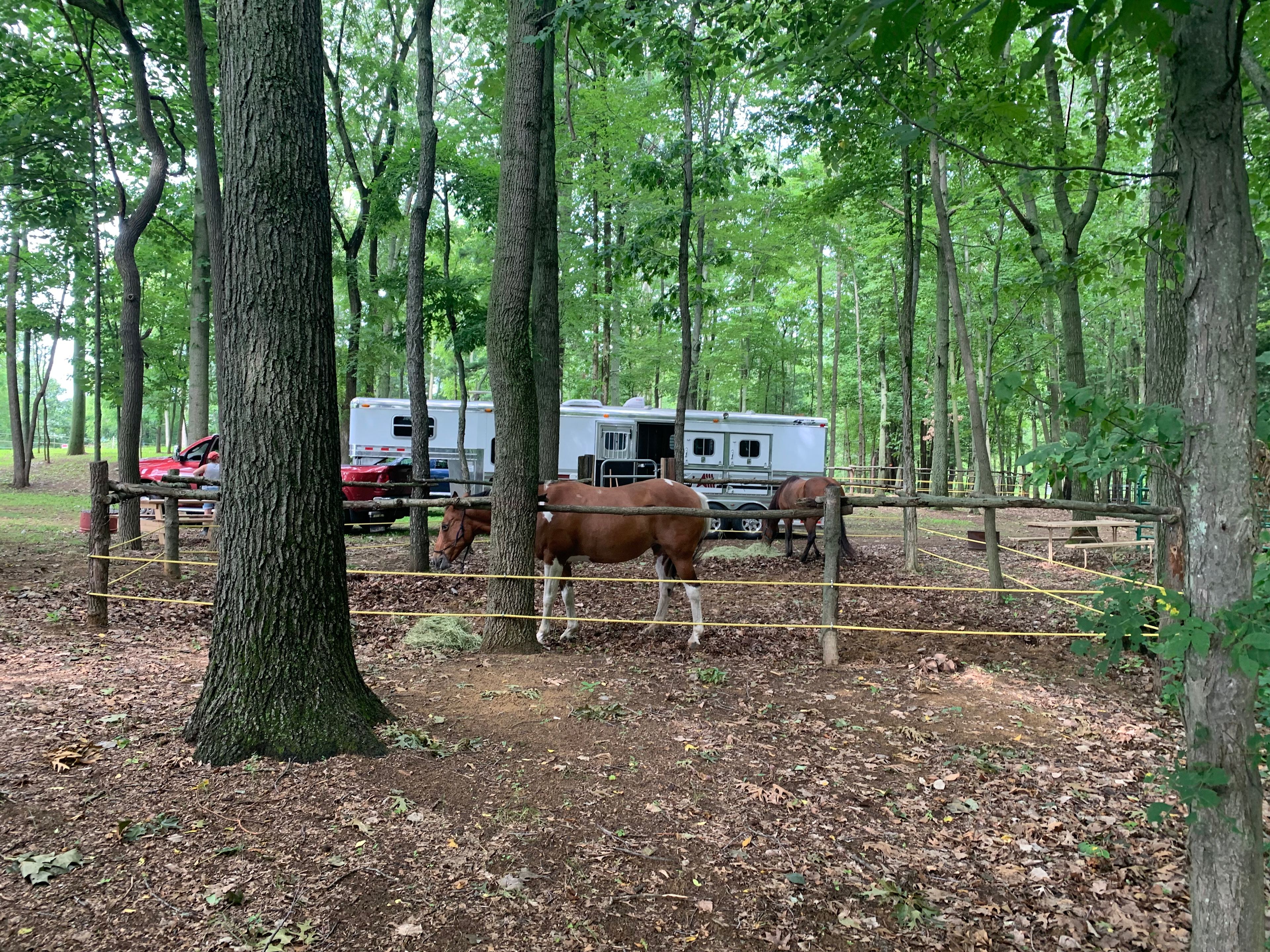 Horseshoe Overnight And Riding