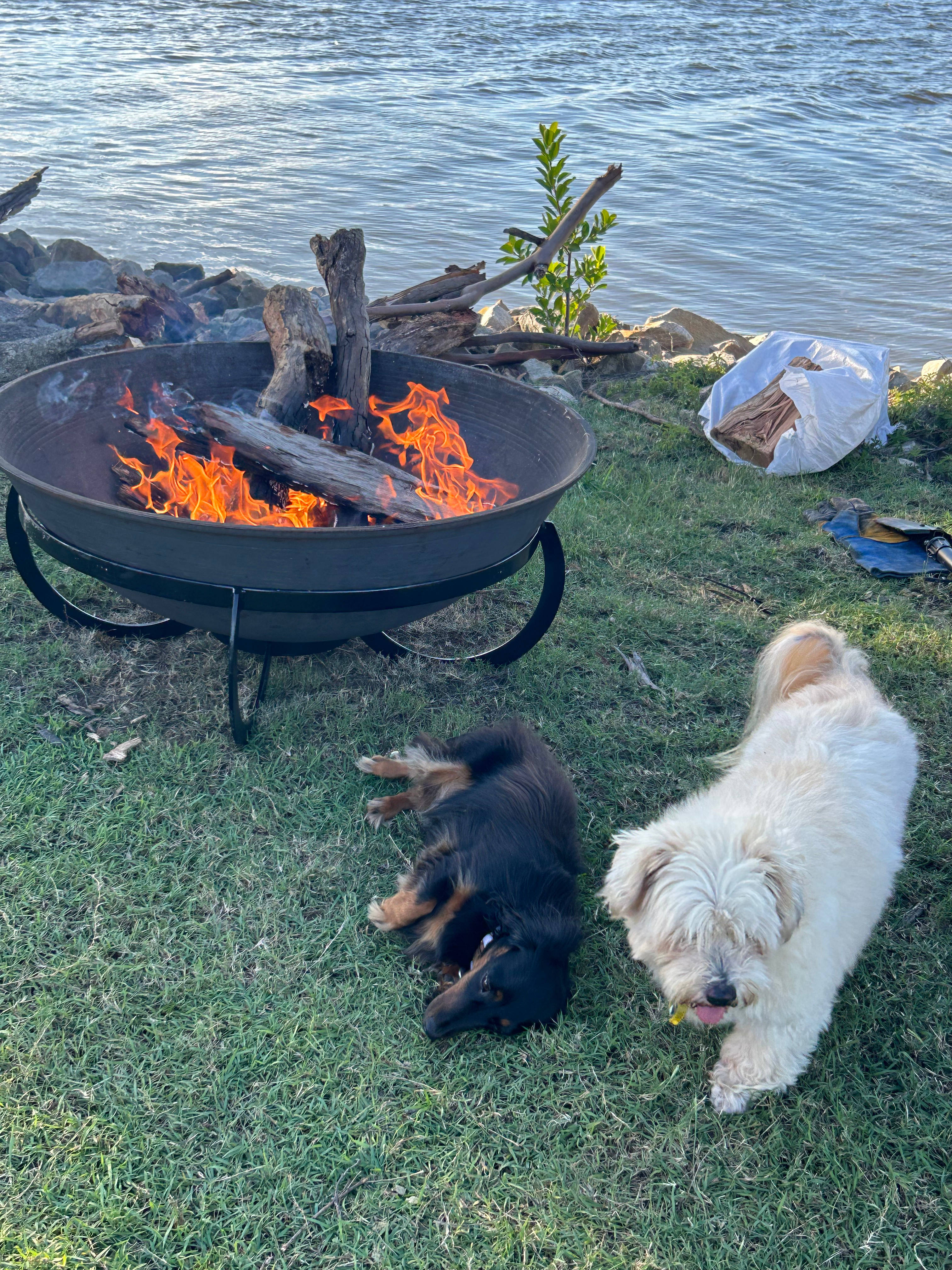 Goodwood Island River Camp & Stay