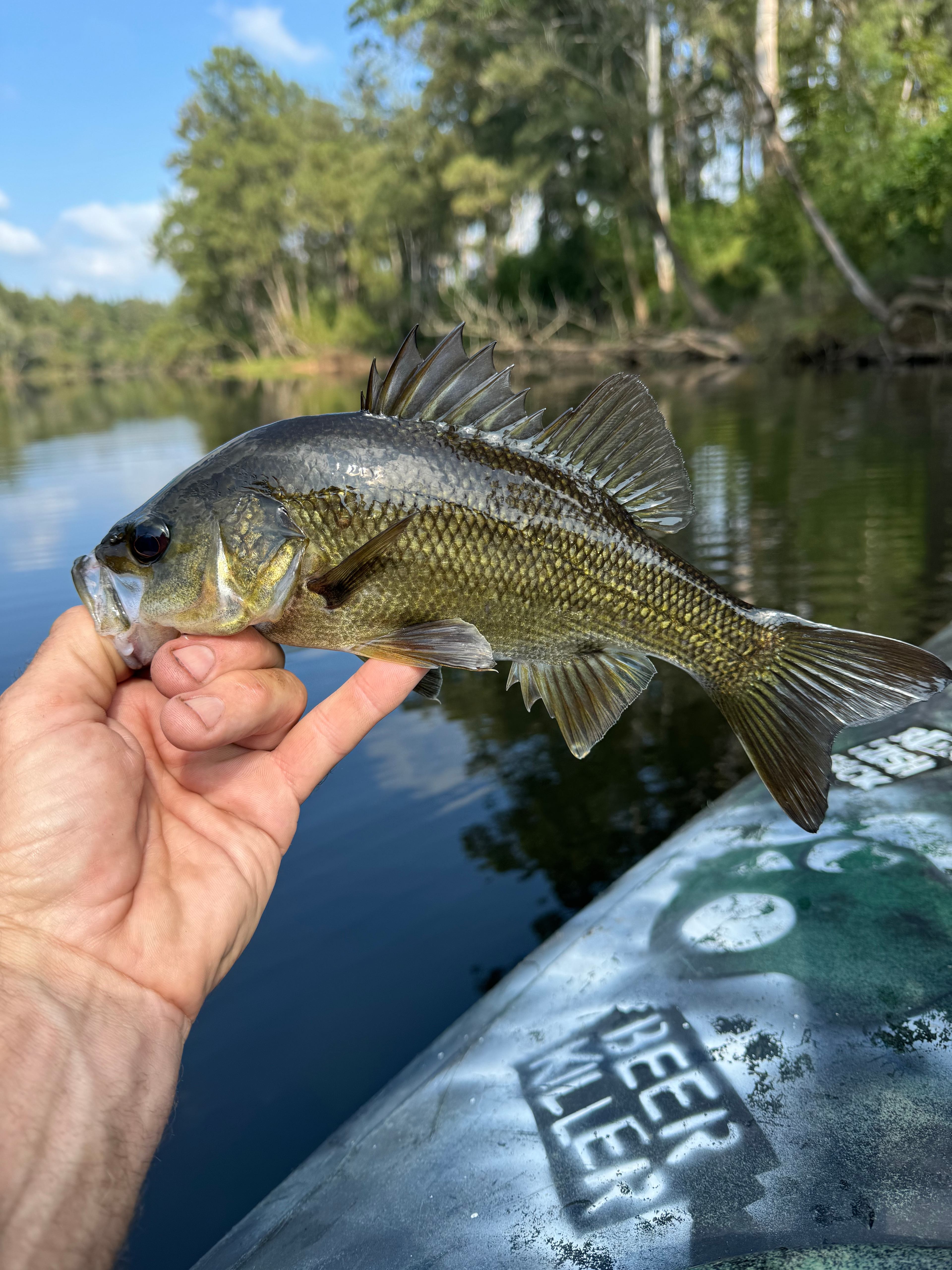 Brooman, on the Clyde River