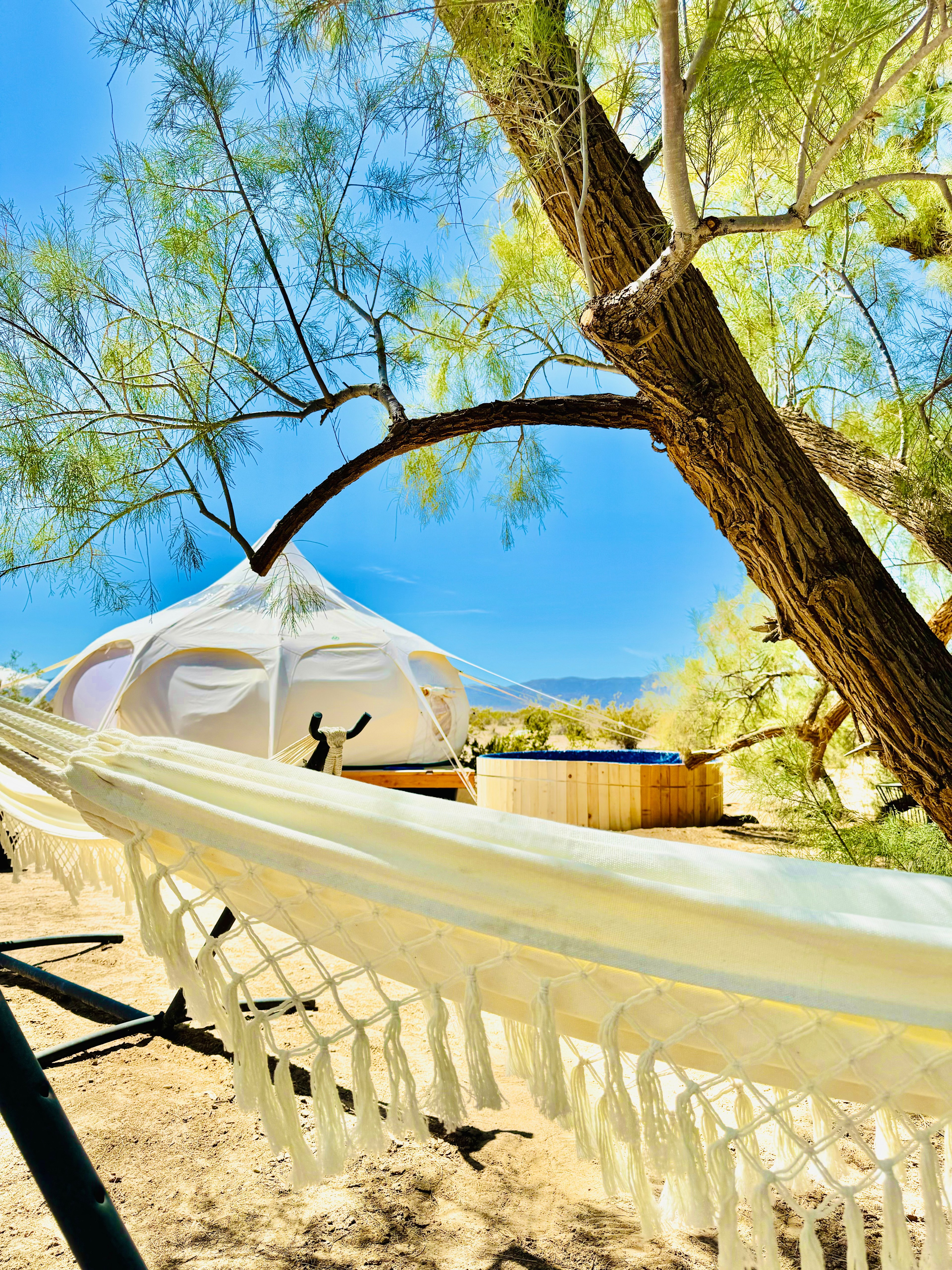 5+ Acres near Joshua Tree NP