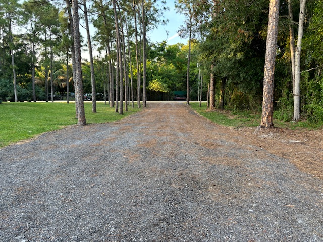 View down driveway toward the street entrance.