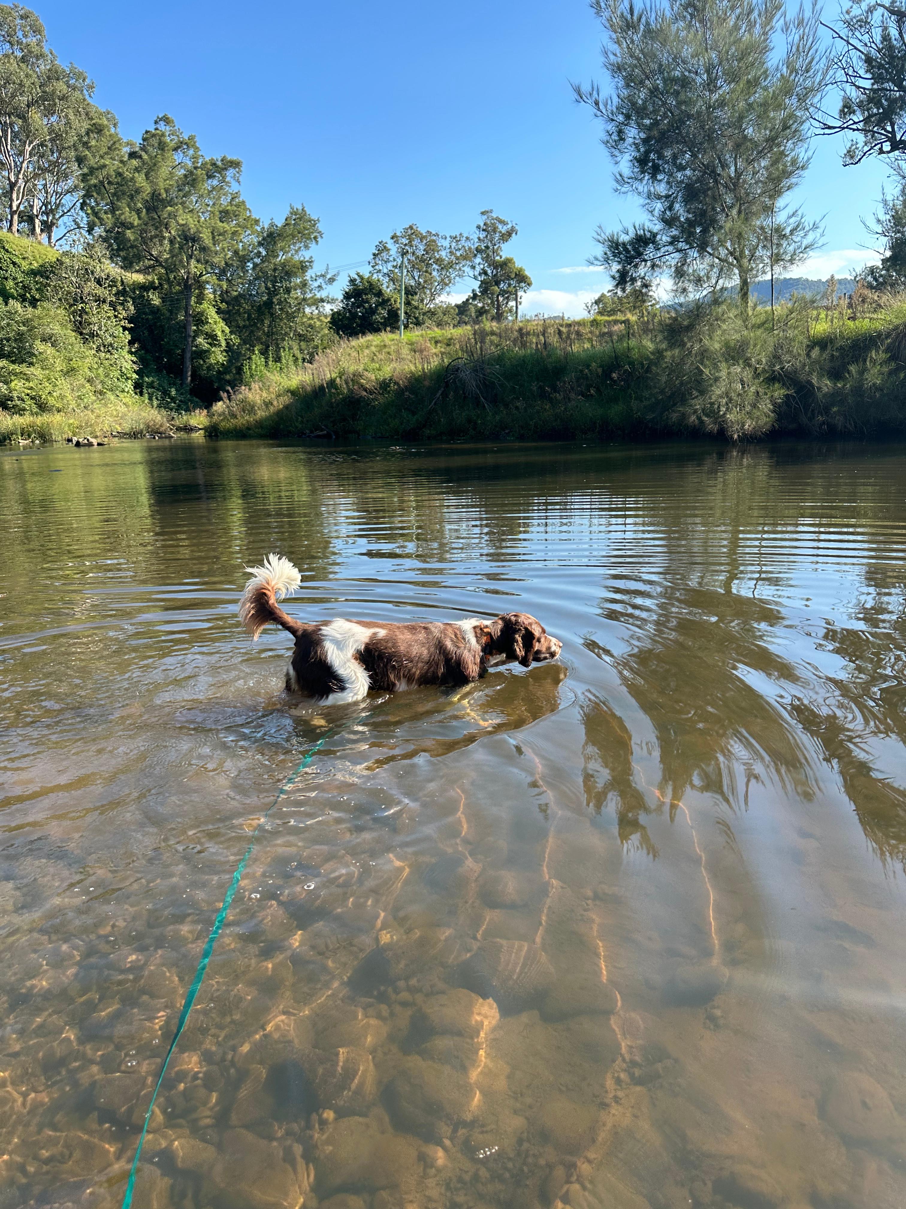 Eudlo Riverside Camp