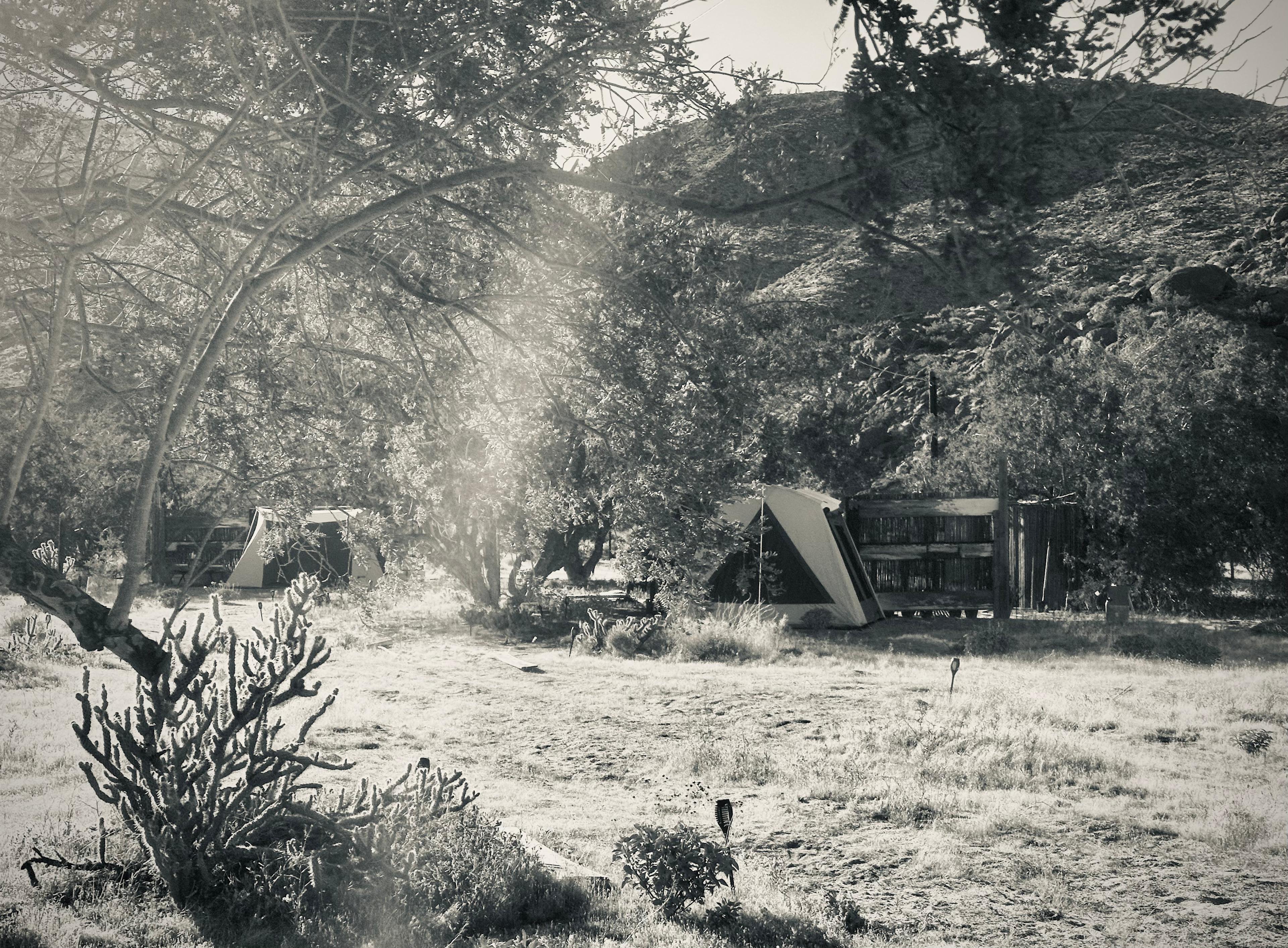 Dark Sky Wilderness Retreat