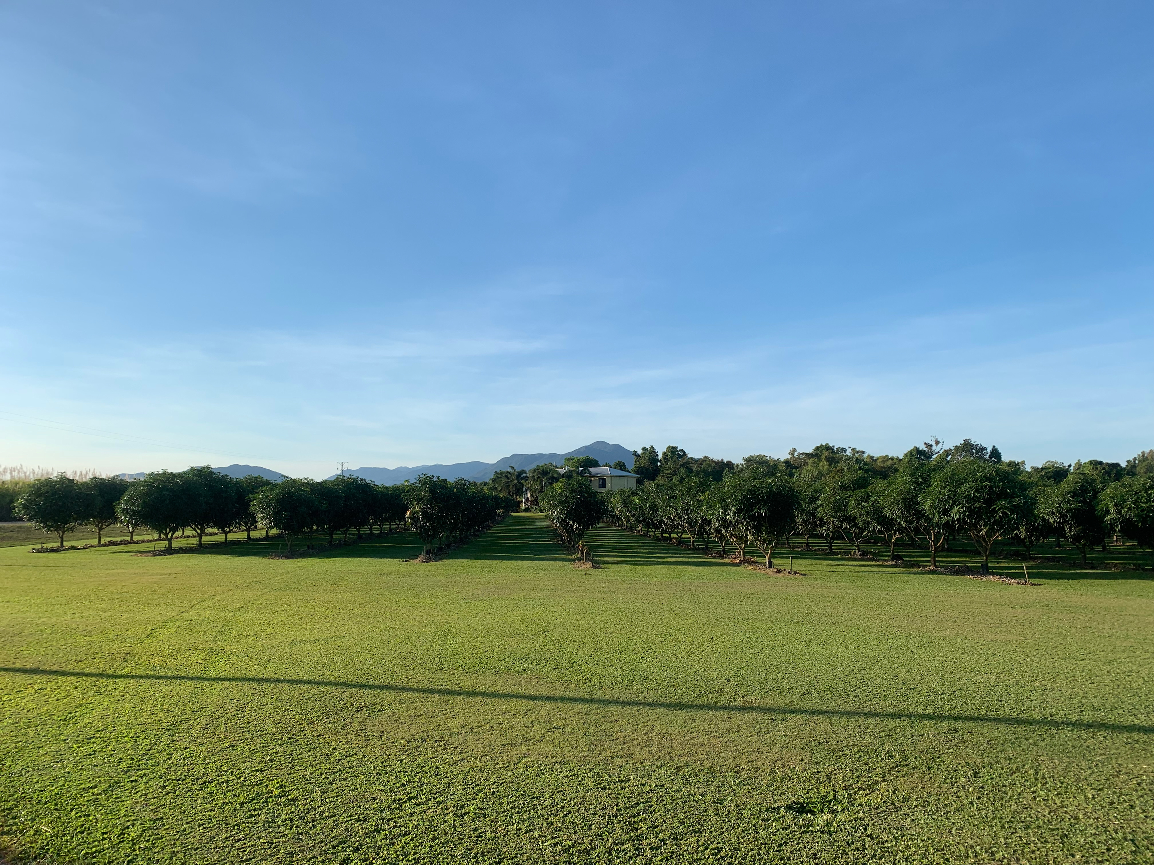 Hinchinbrook View