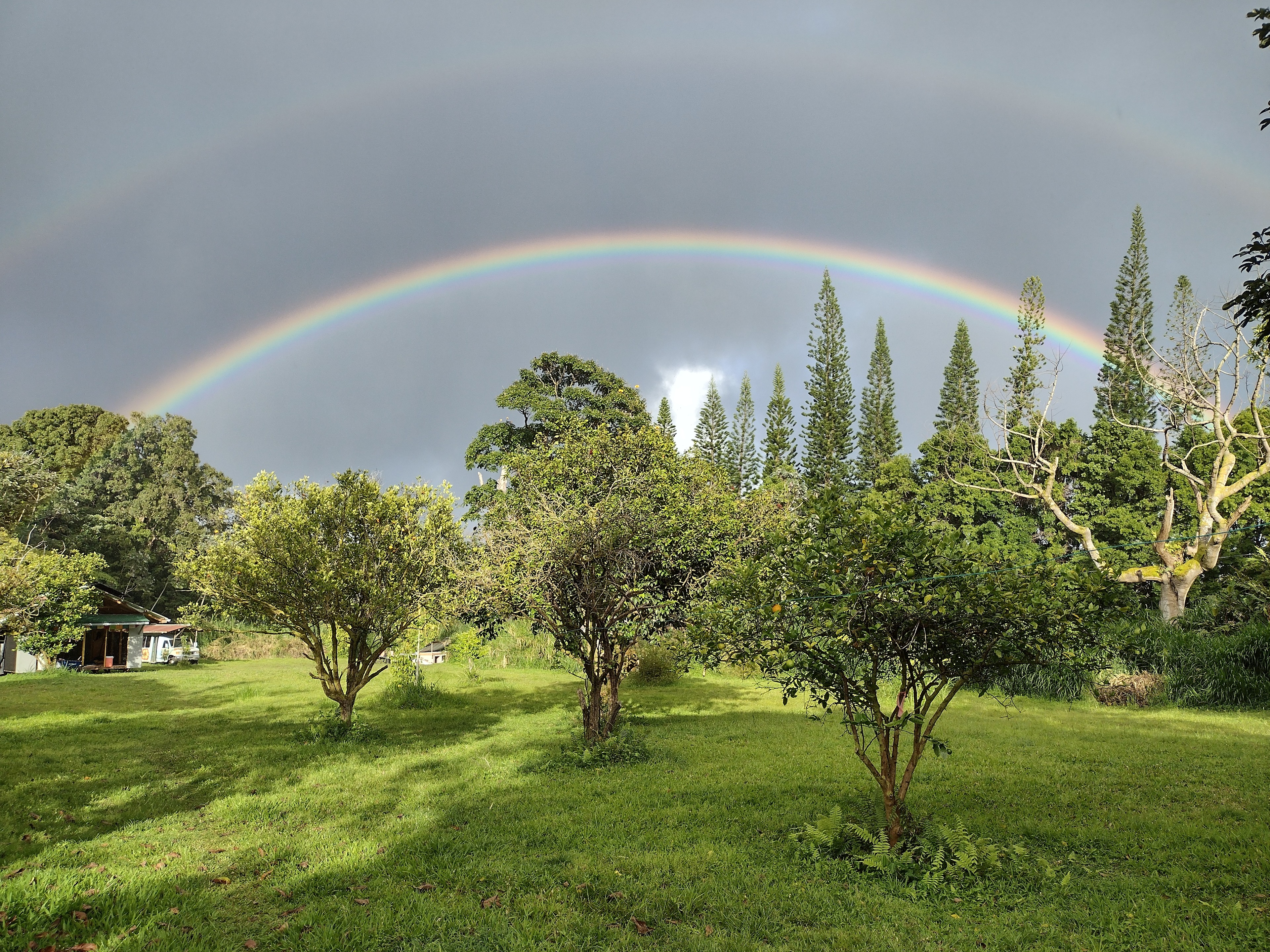 Hawaiian Off-Grid Oasis