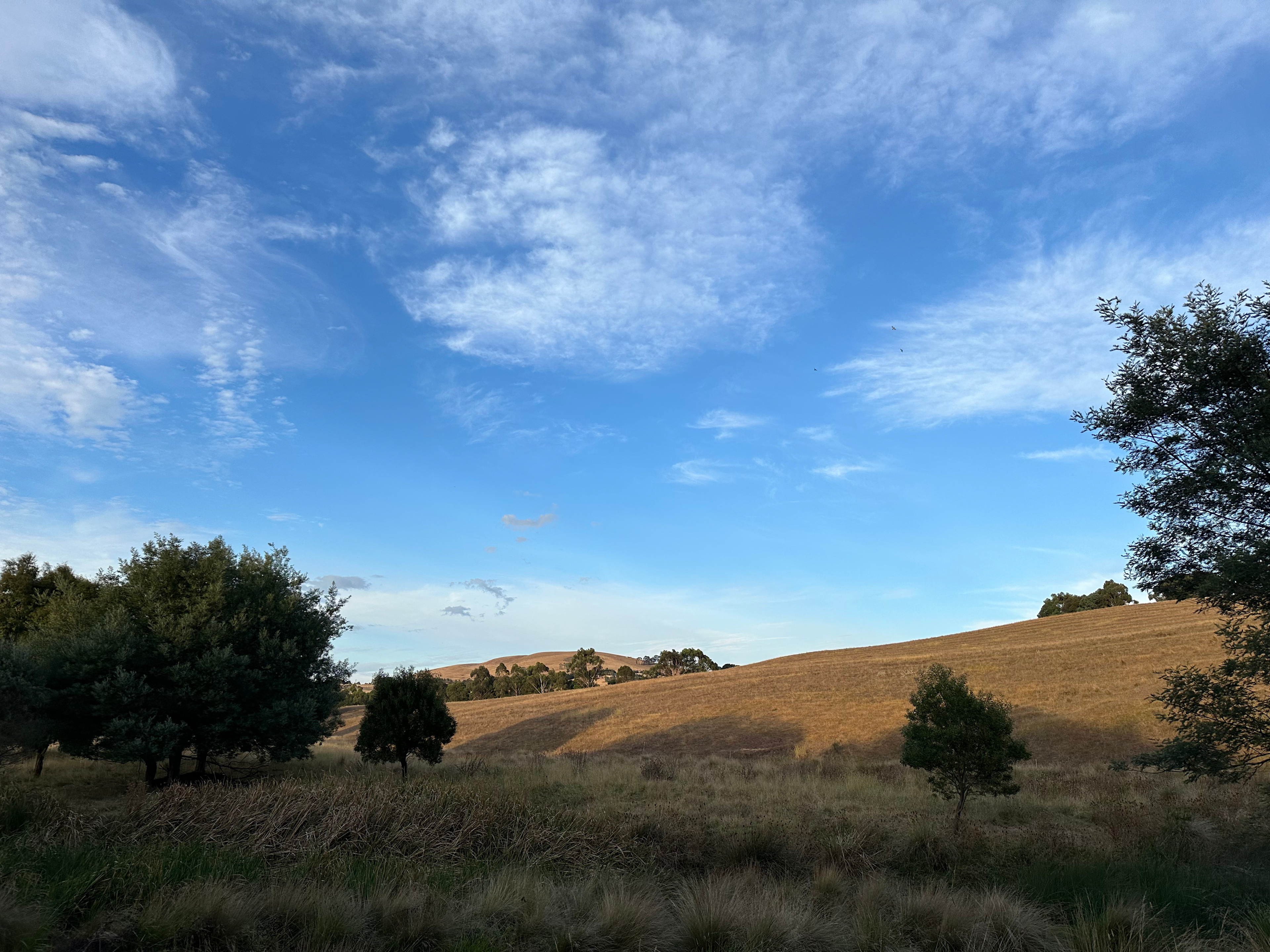 Summerleigh Homestead, circa 1876