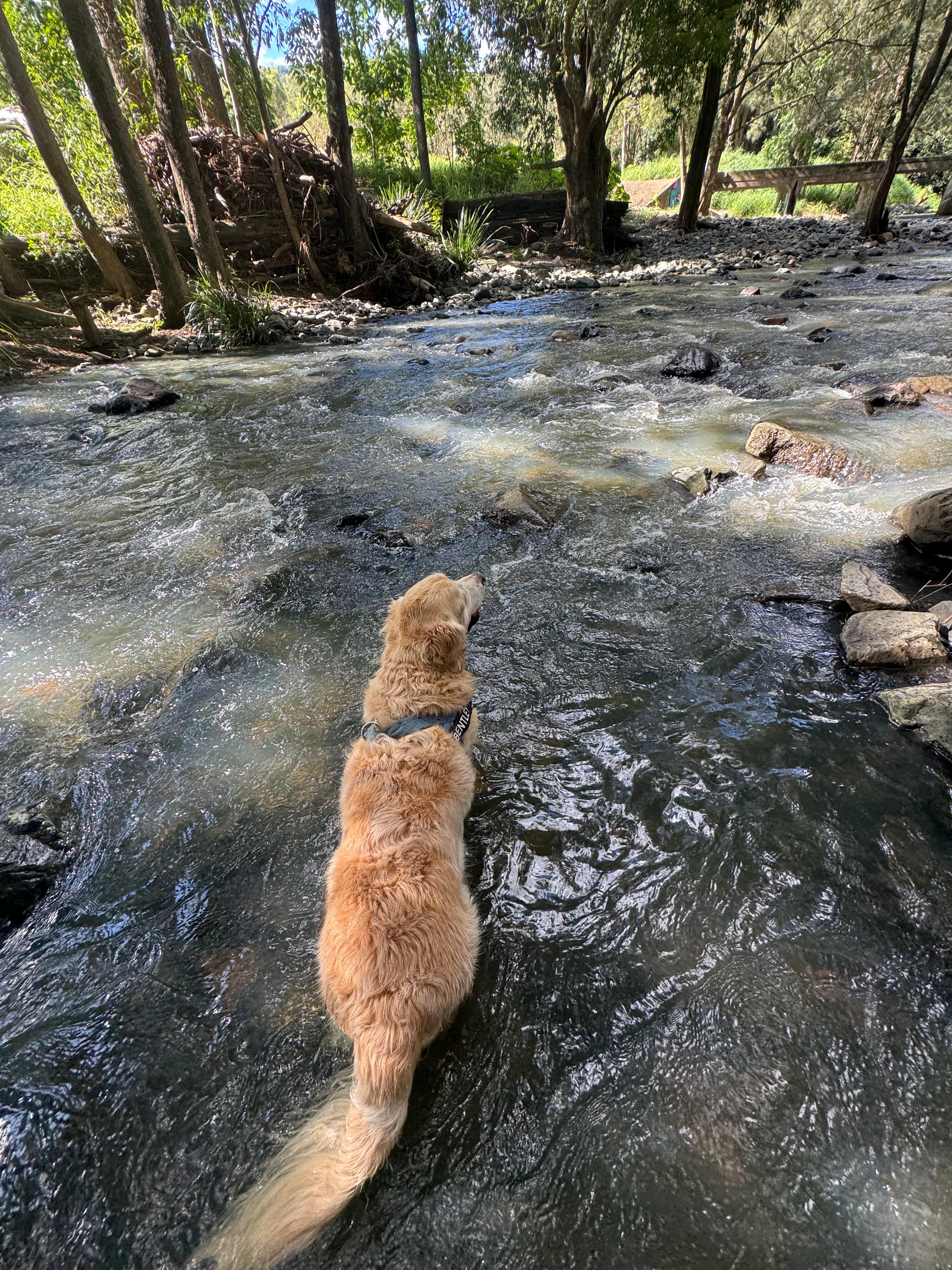 A Place To Call Home