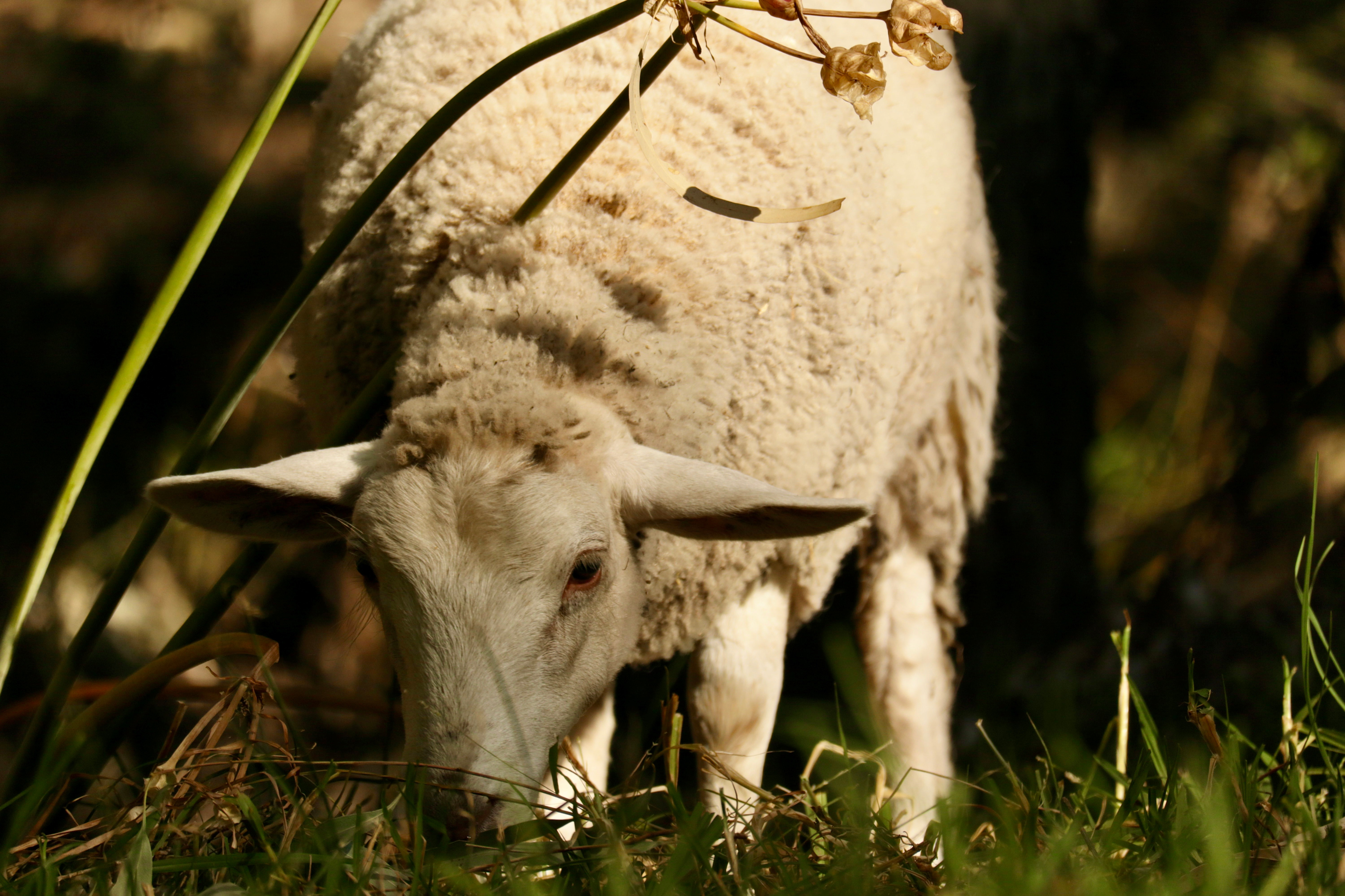 Hidden Beauty on Broken Creek