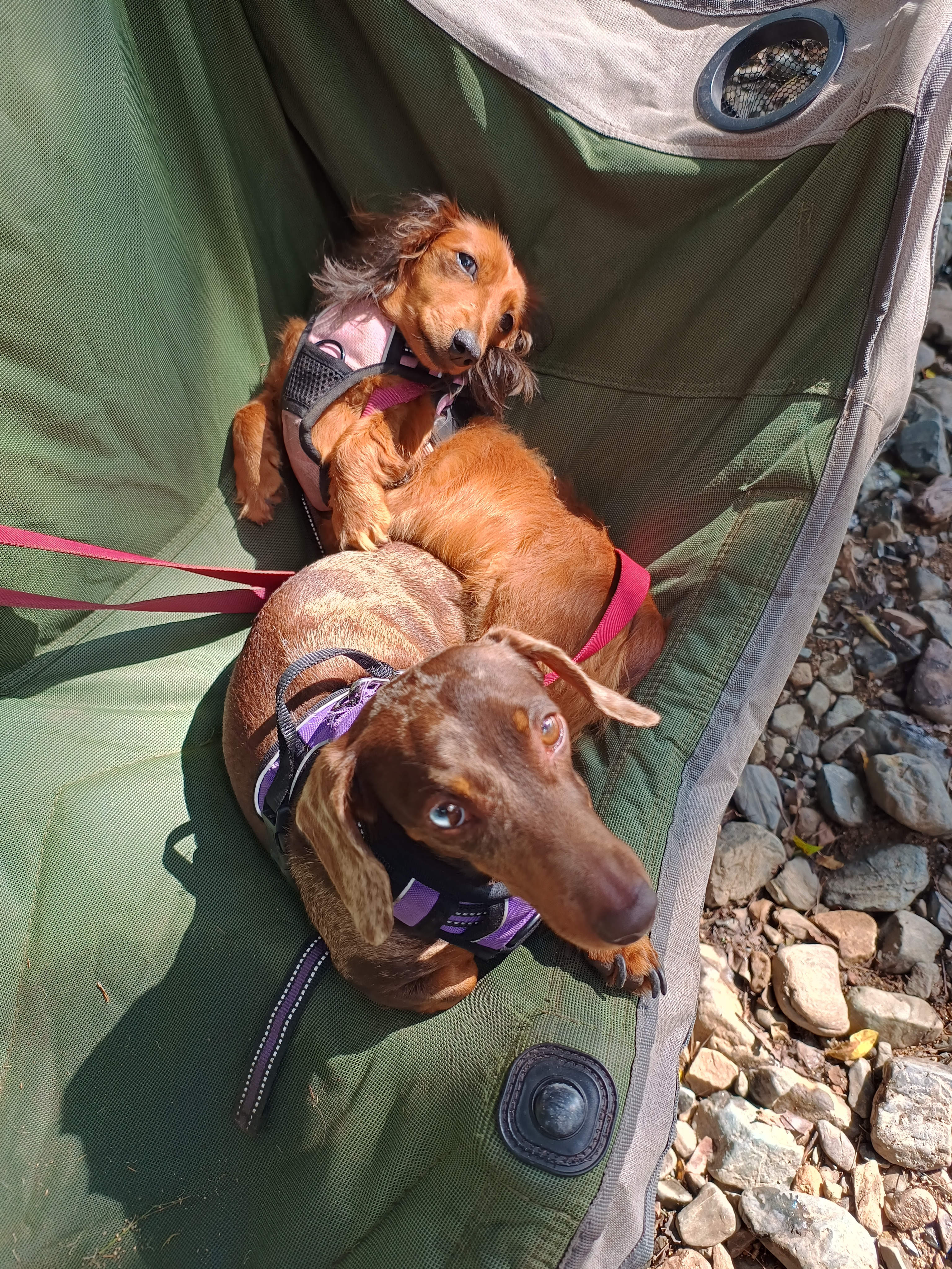 A Place To Call Home