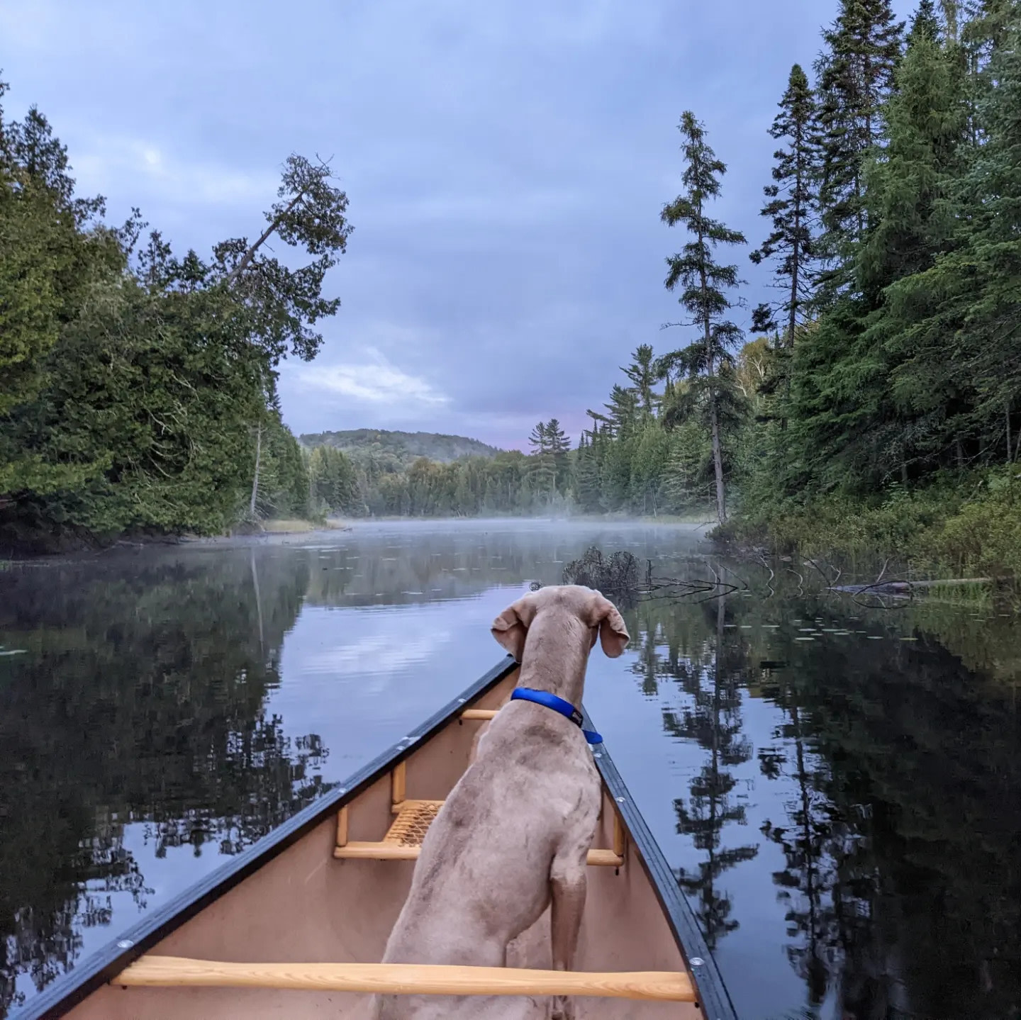 Lièvre Rouge · Wilderness Retreat
