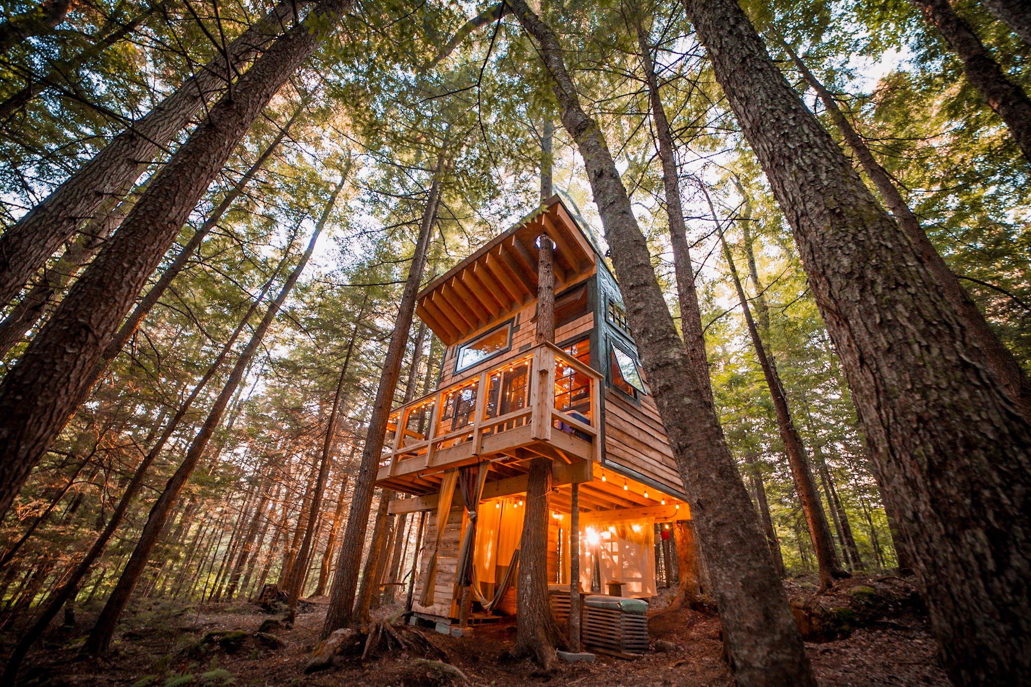 Stone City Treehouse & Glamping