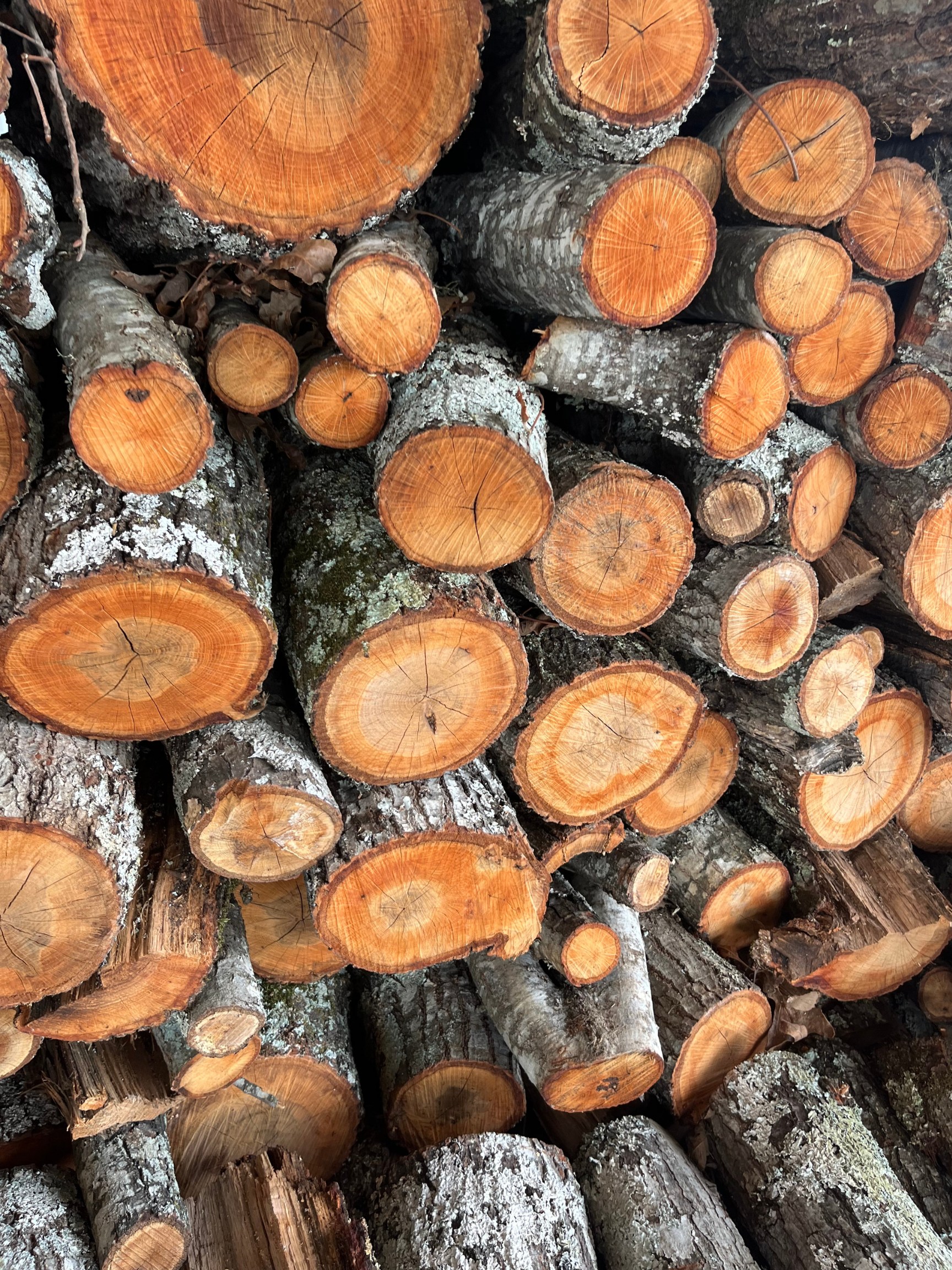 Silverwater Campground