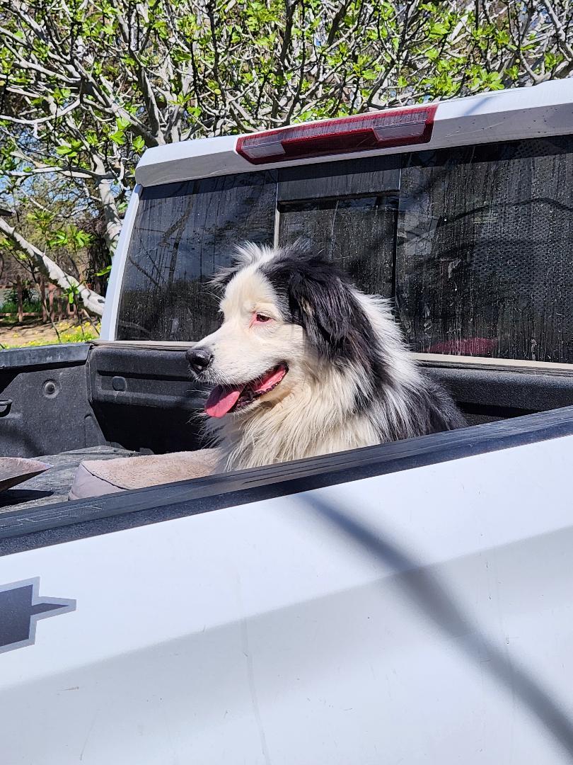 "Joe" loves to come visit us!