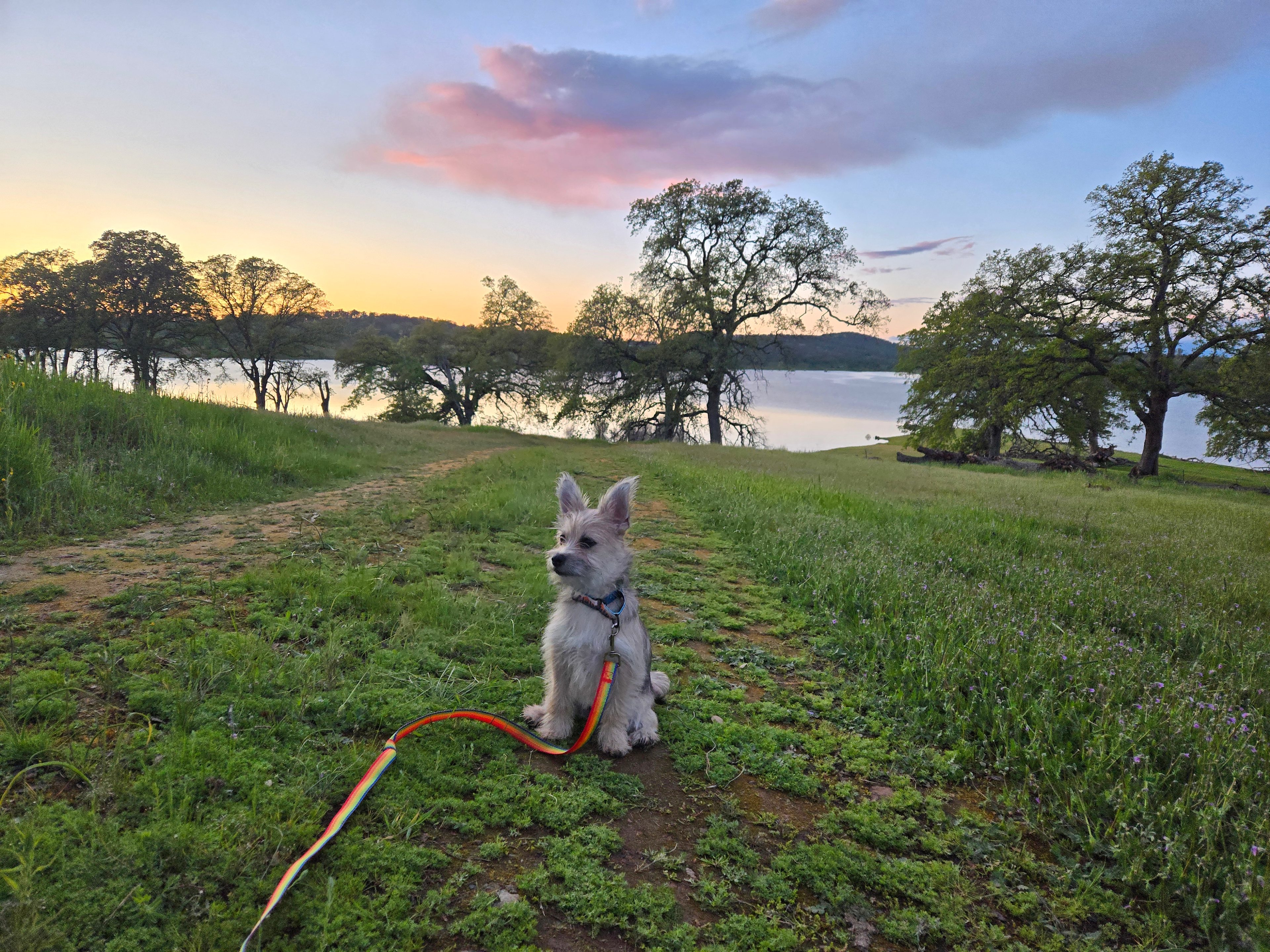 Heartland Collective & Retreat