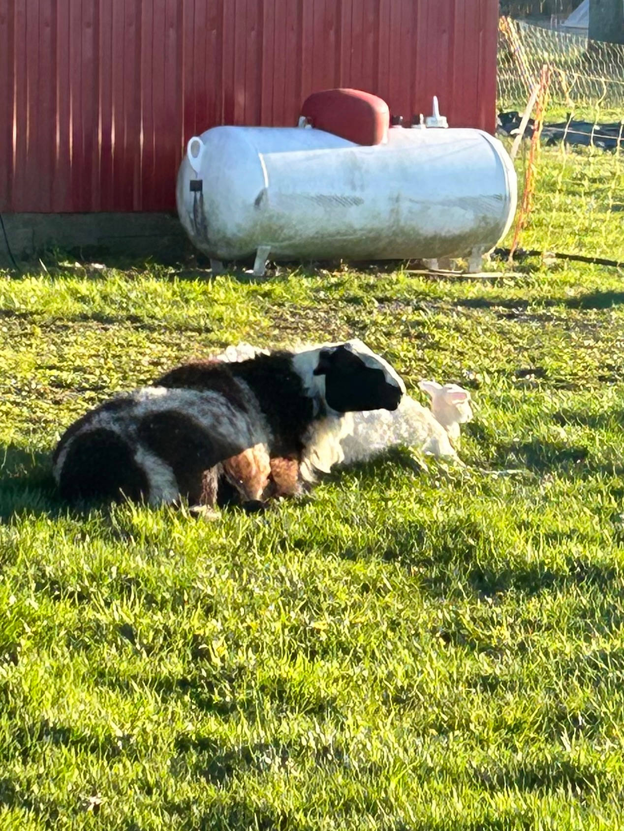 Overland Camping at The 1938 Barn
