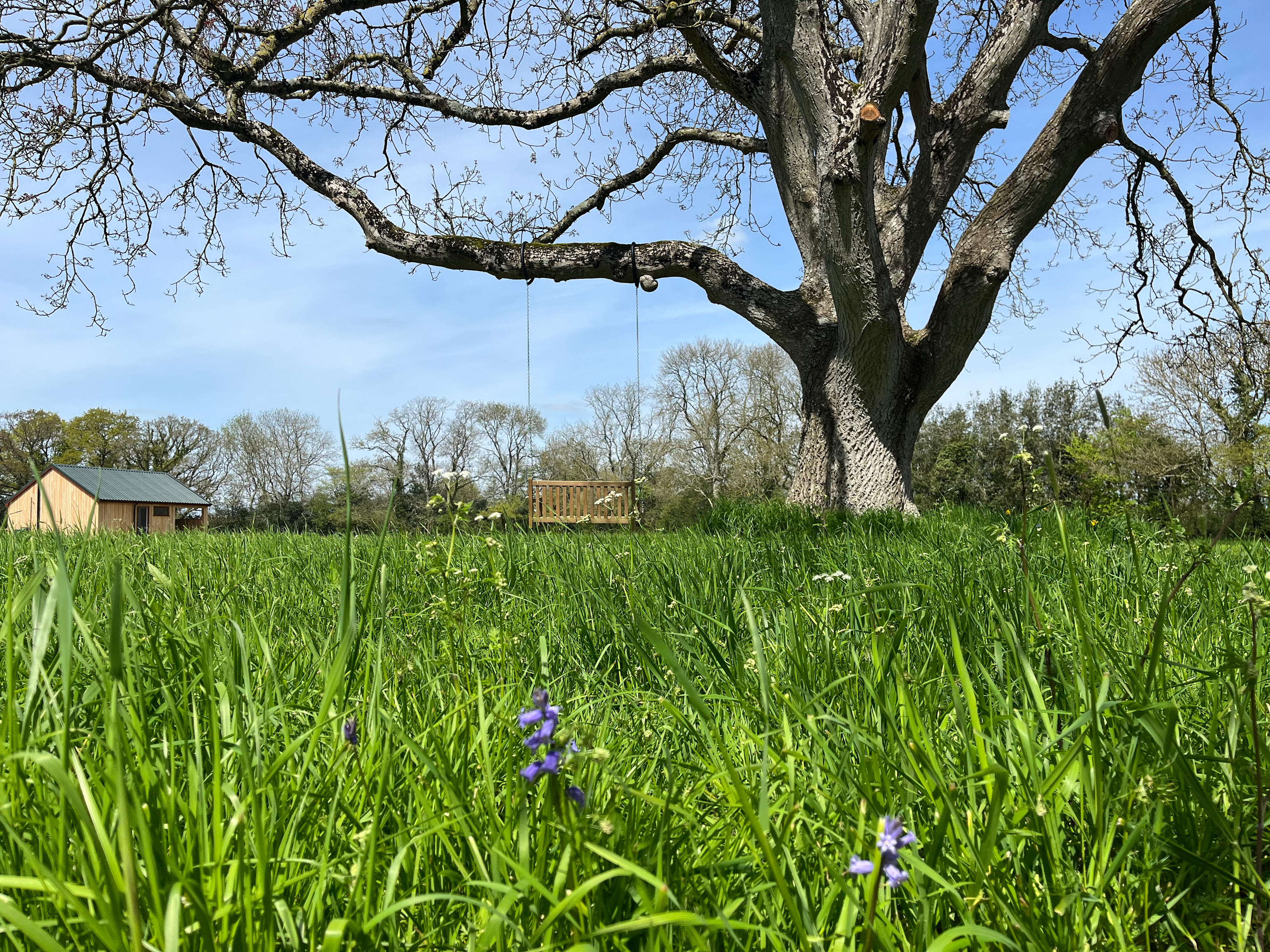 Knowle Meadow Camping