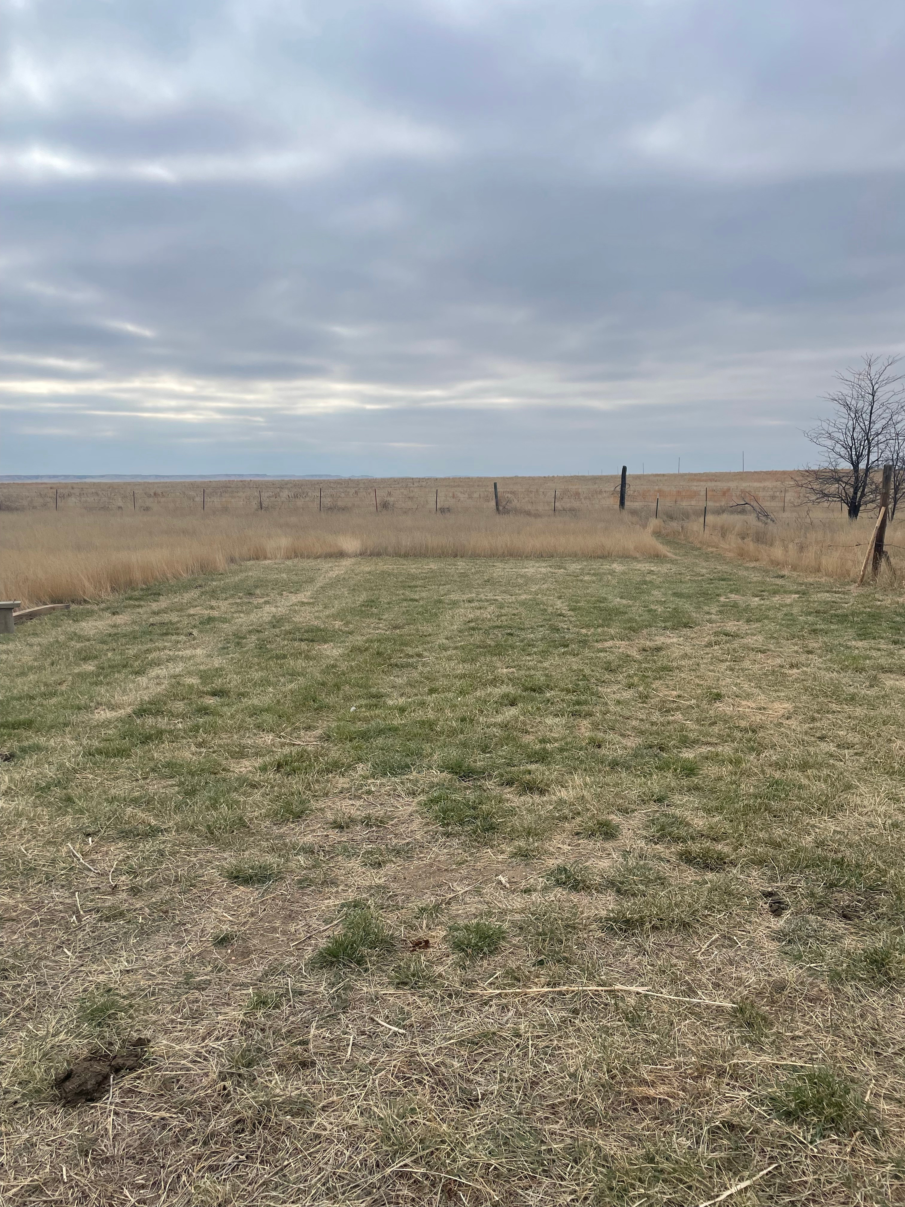 This is a perfect spot to enjoy the hammock and the views, next to your BADLANDS BUNKHOUSE campsite, as well as a nice flat turnaround and extra parking.