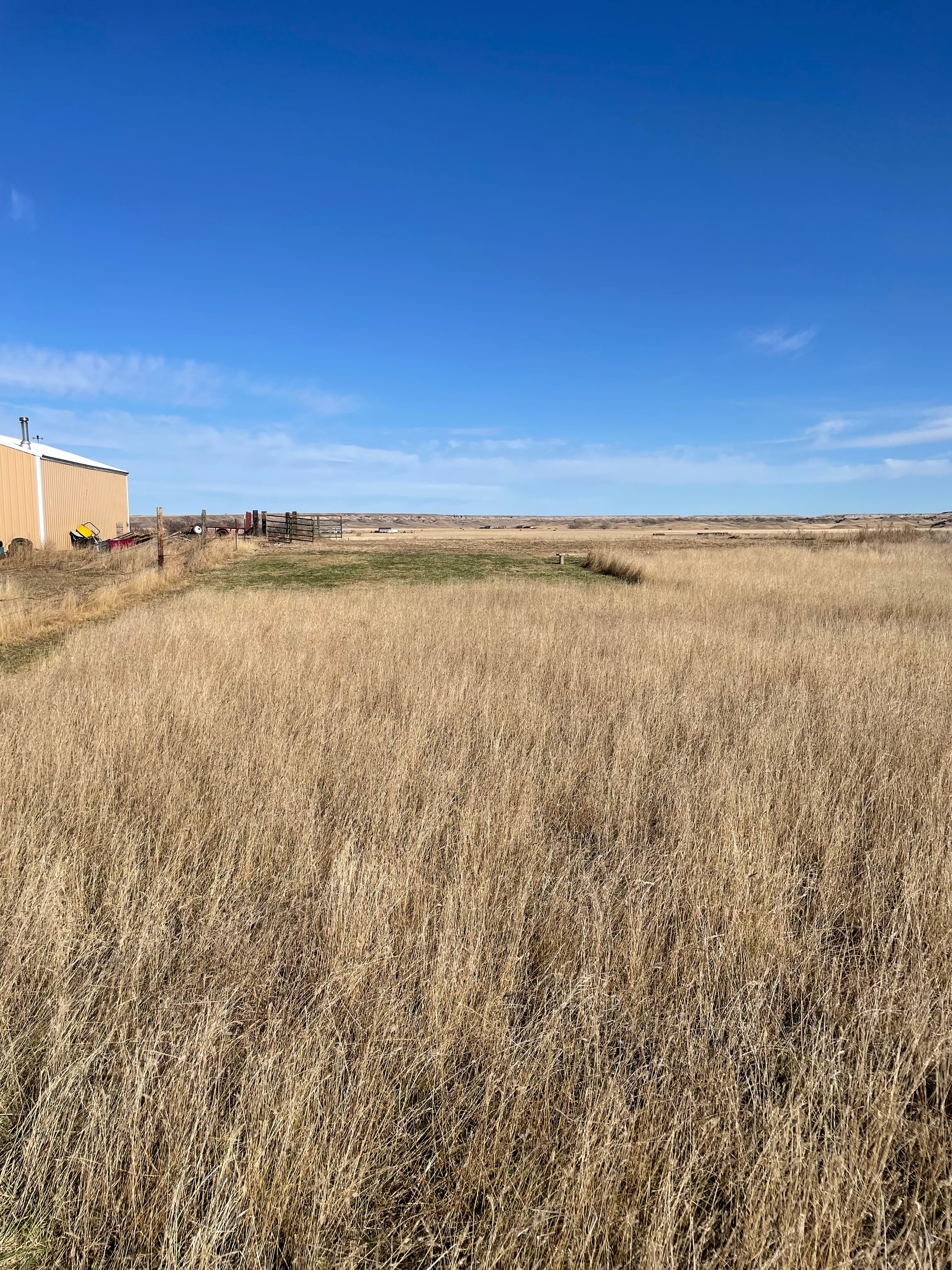 Home of the BADLANDS BUNKHOUSE cabin campsite, against the shop. ARTAX tent/RV campsite and flat parking area to the right, You're facing east here. 