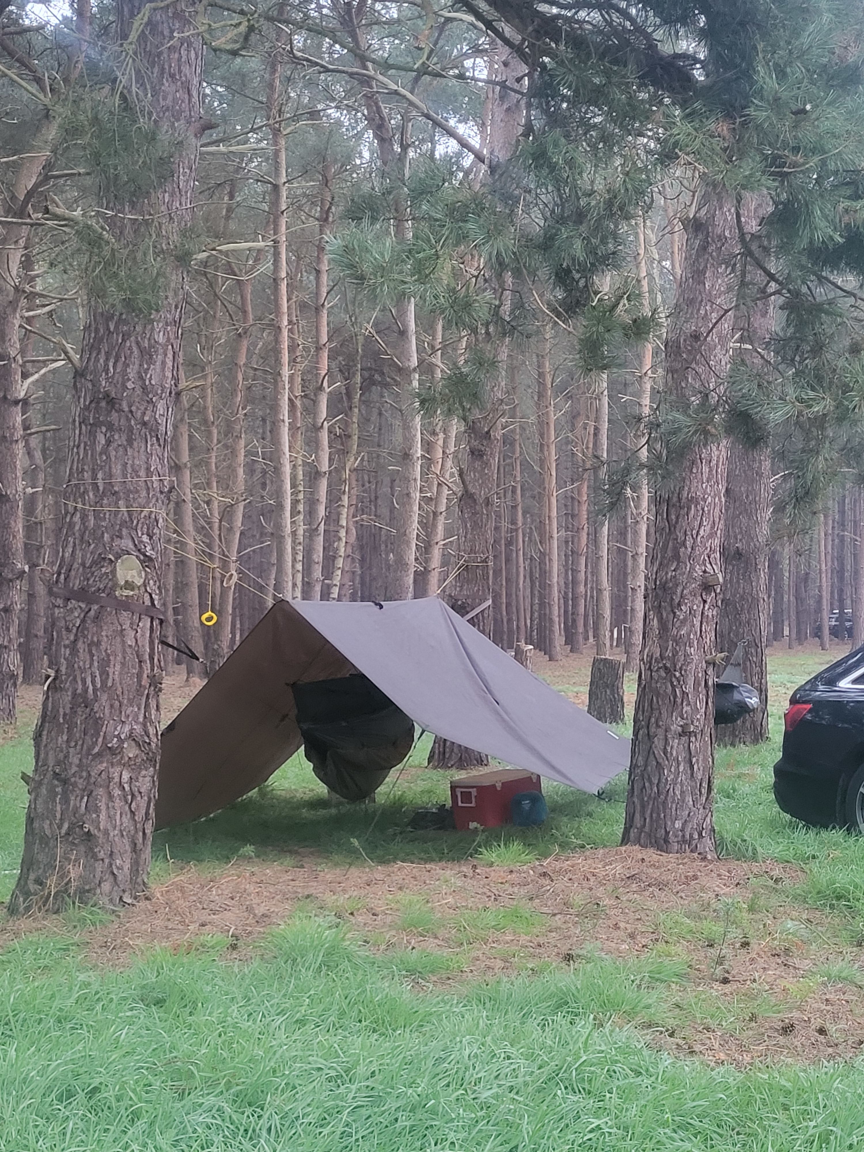 Holistic Woods Wild Campsite