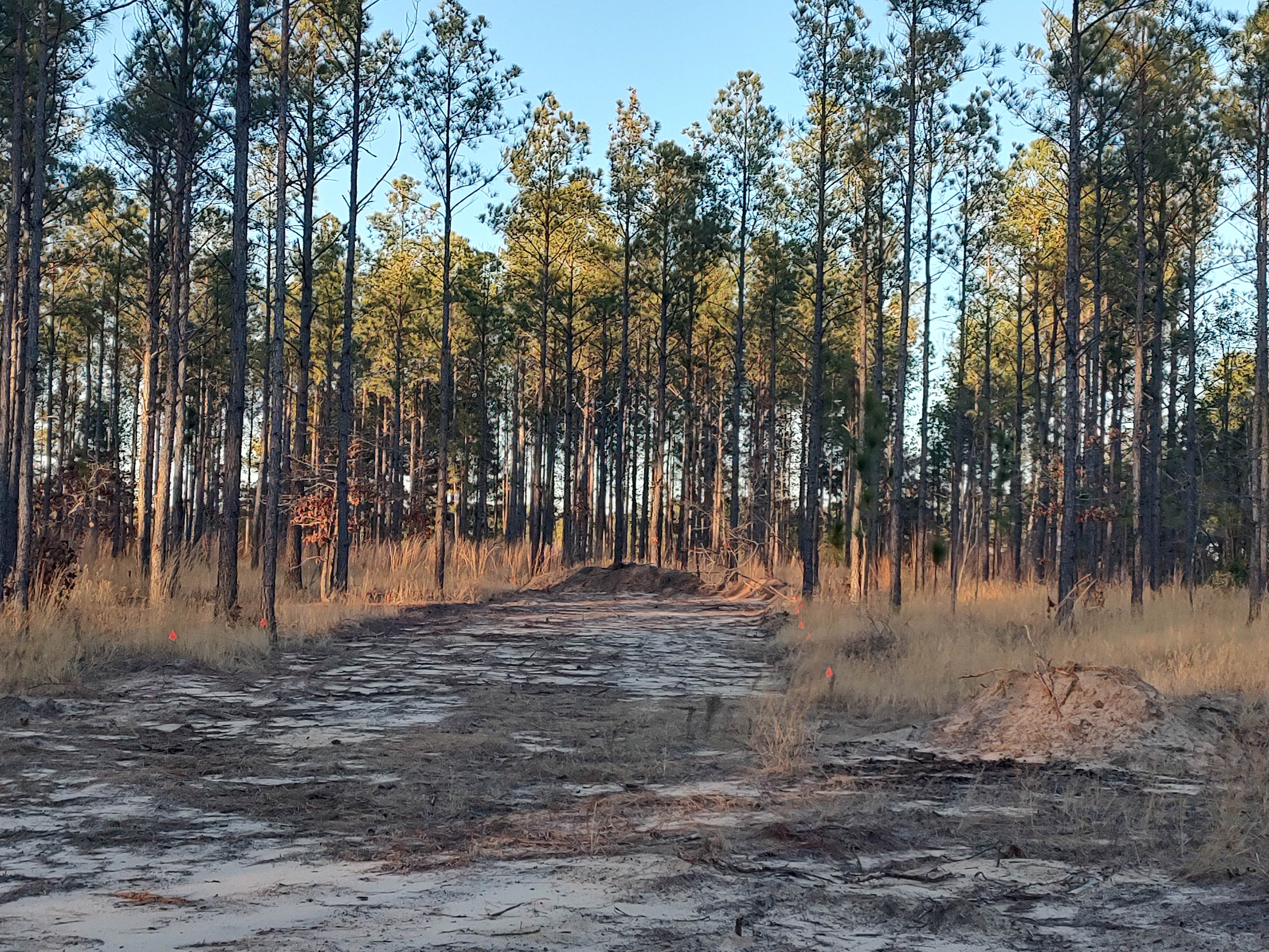 Broken Tree Ranch