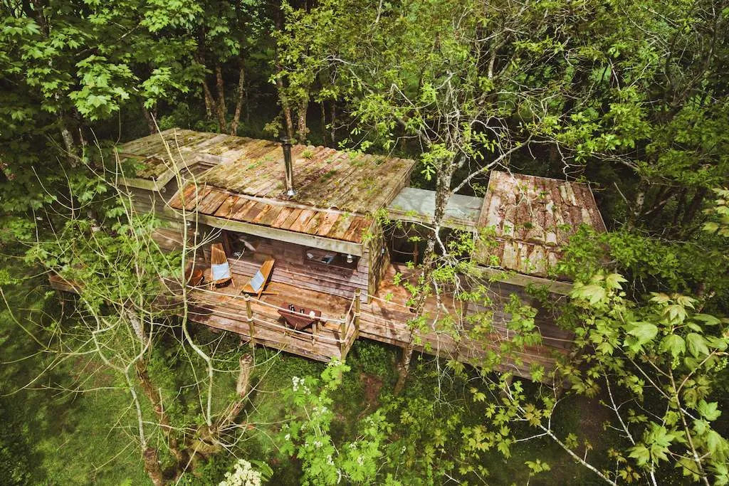 Log Jam, hidden amongst the trees