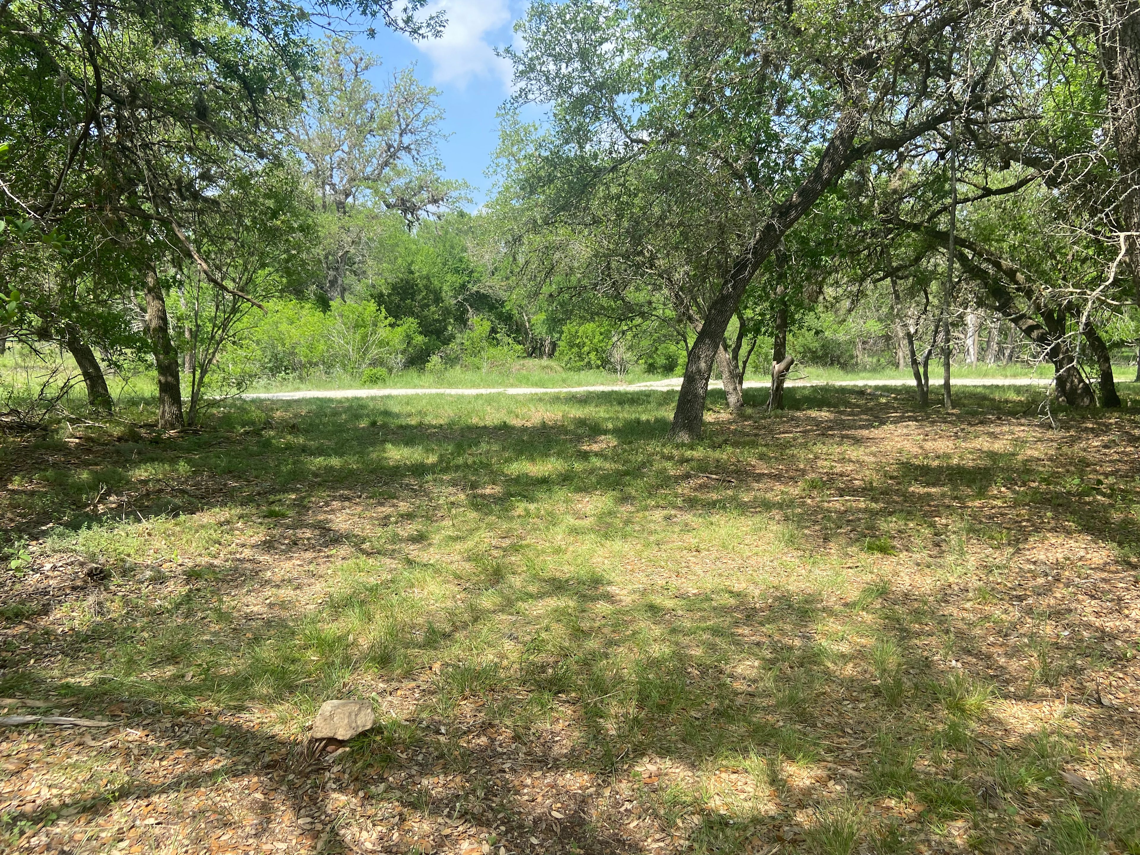 View from the back of the campsite 