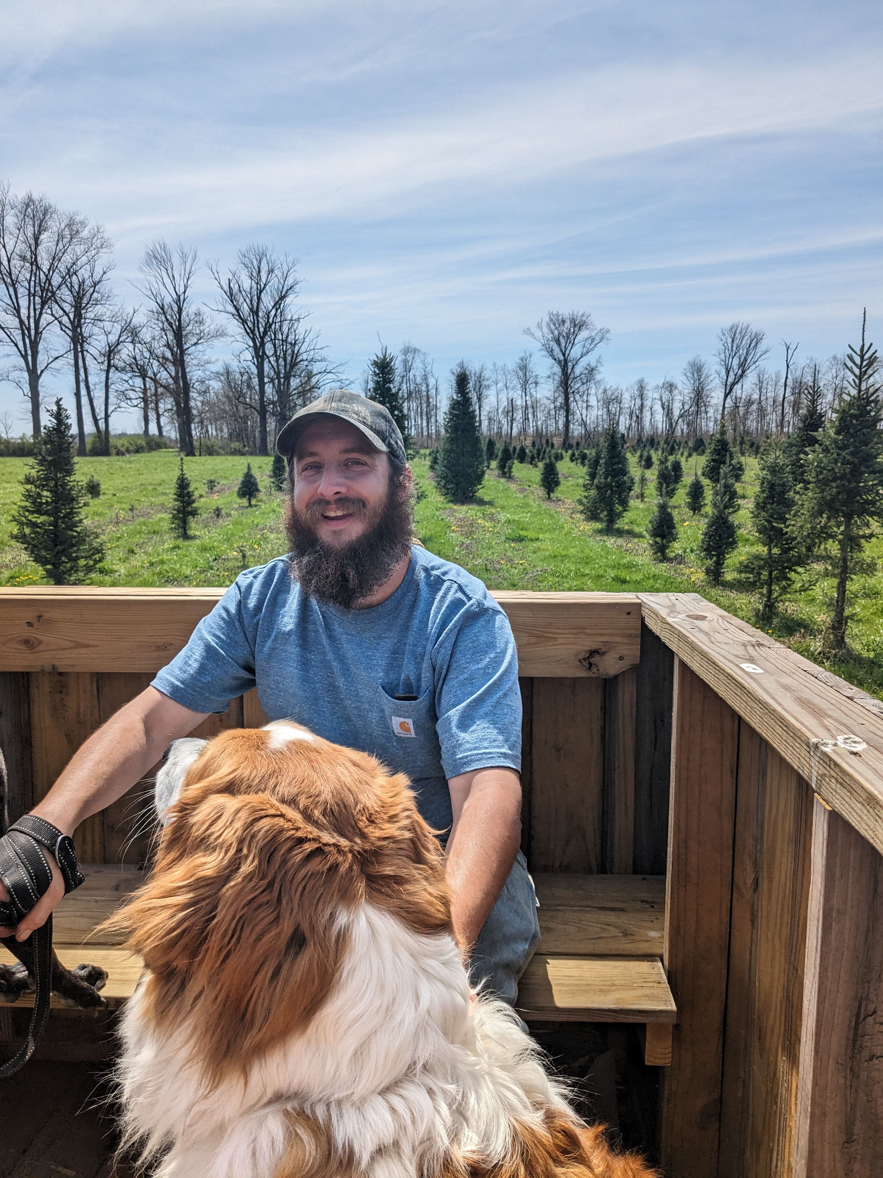 Clearview Christmas Tree Farm