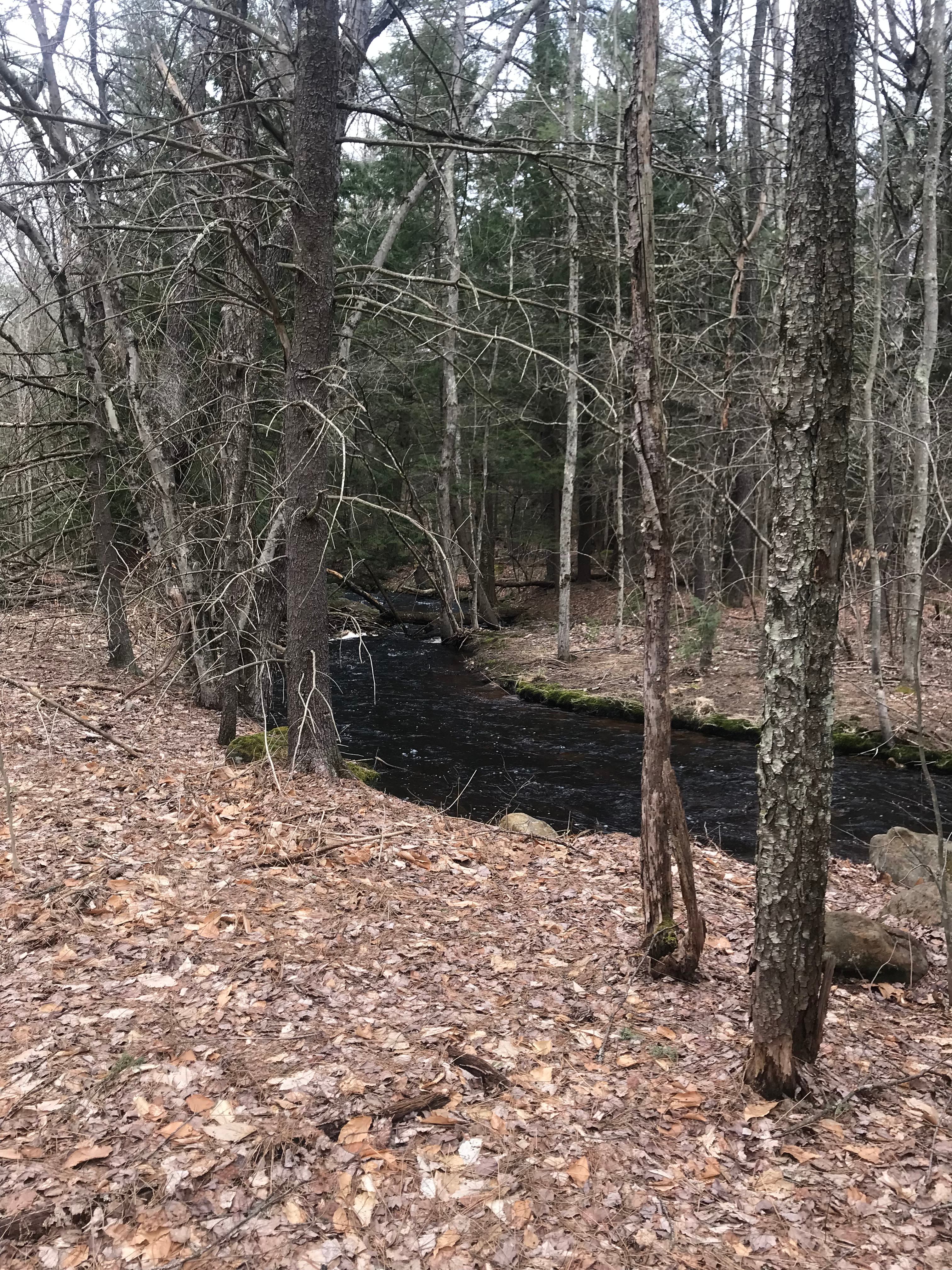 Bigfoot Camping Ground