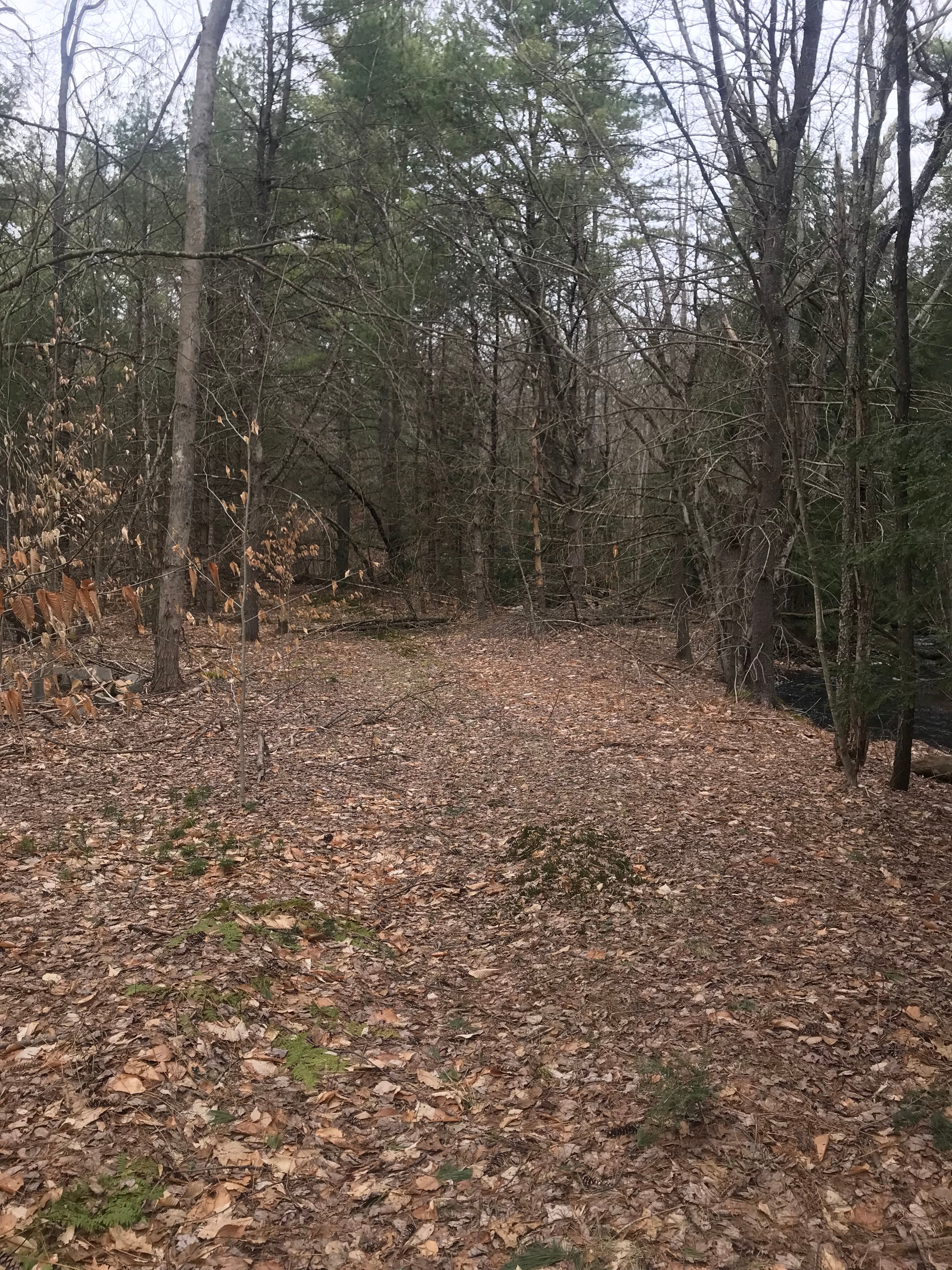 Bigfoot Camping Ground