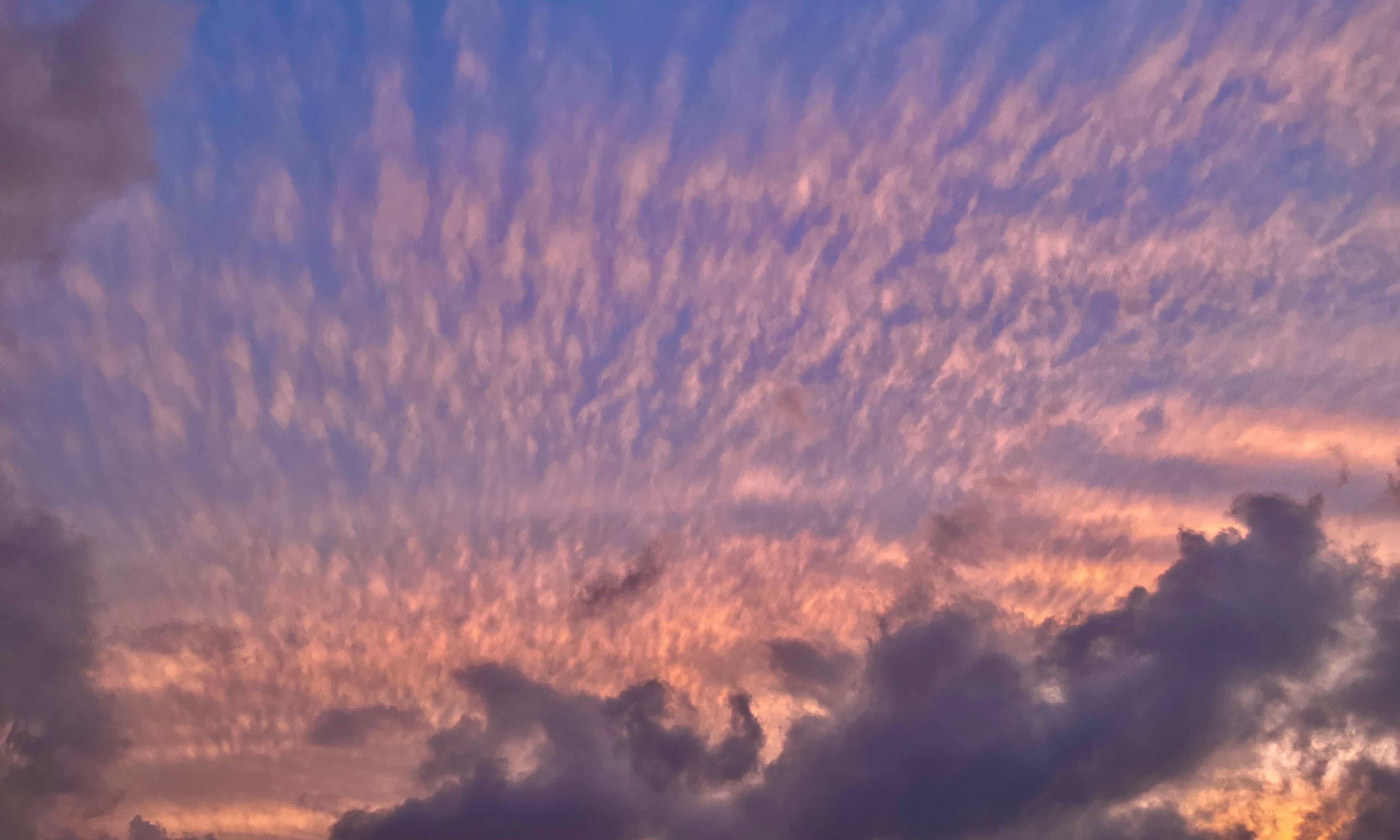 HYE TABLE Wine Trail Dream