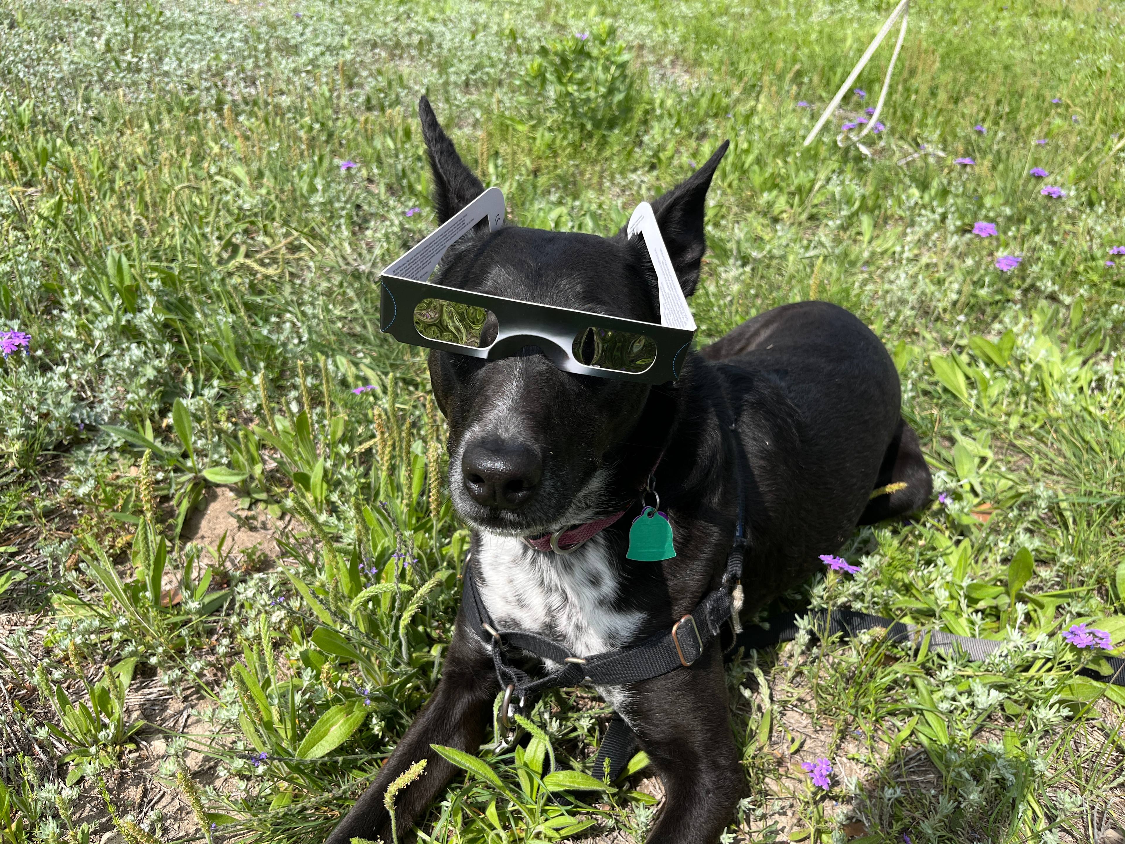 HYE TABLE Wine Trail Dream