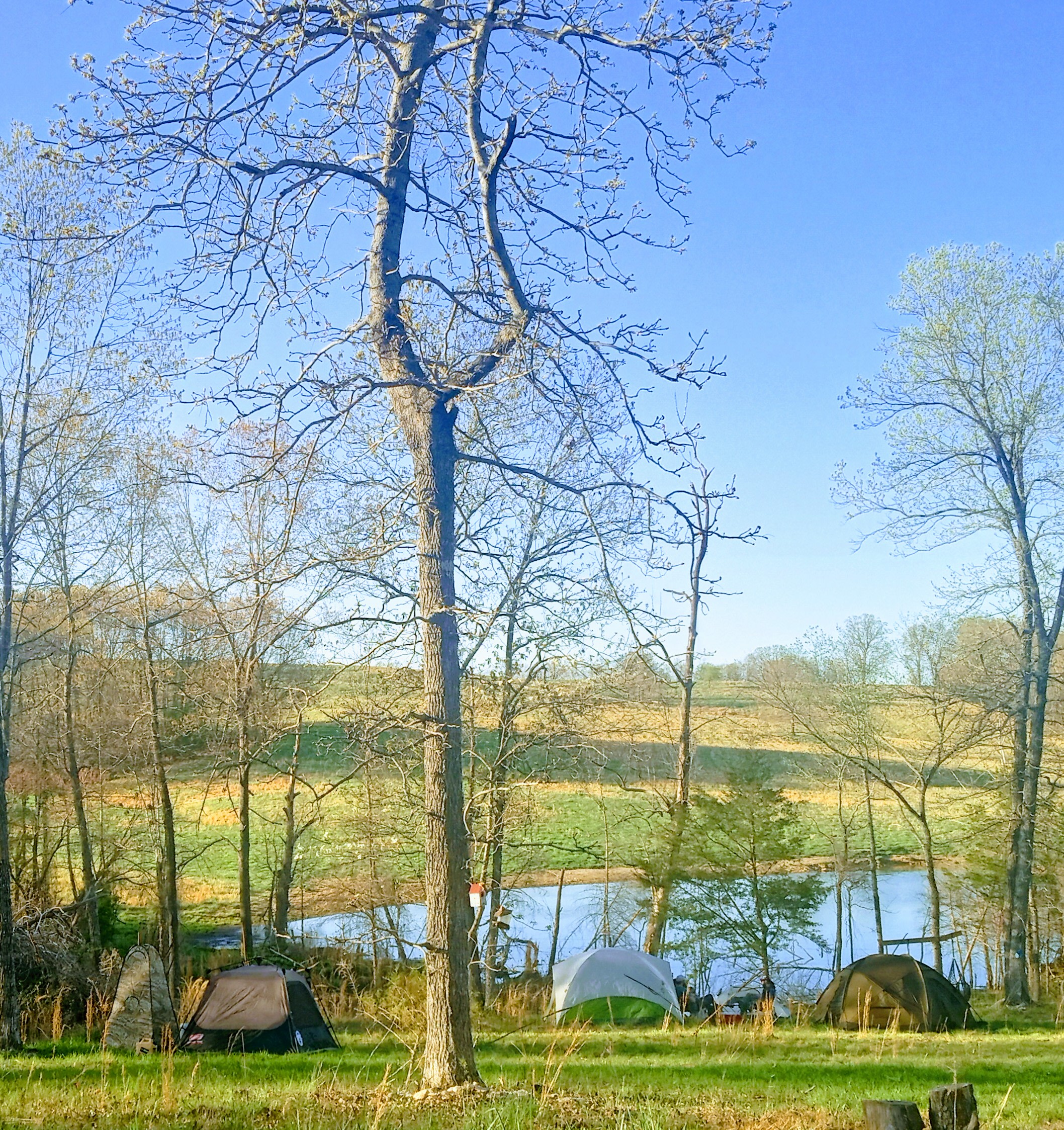 Serenity pond