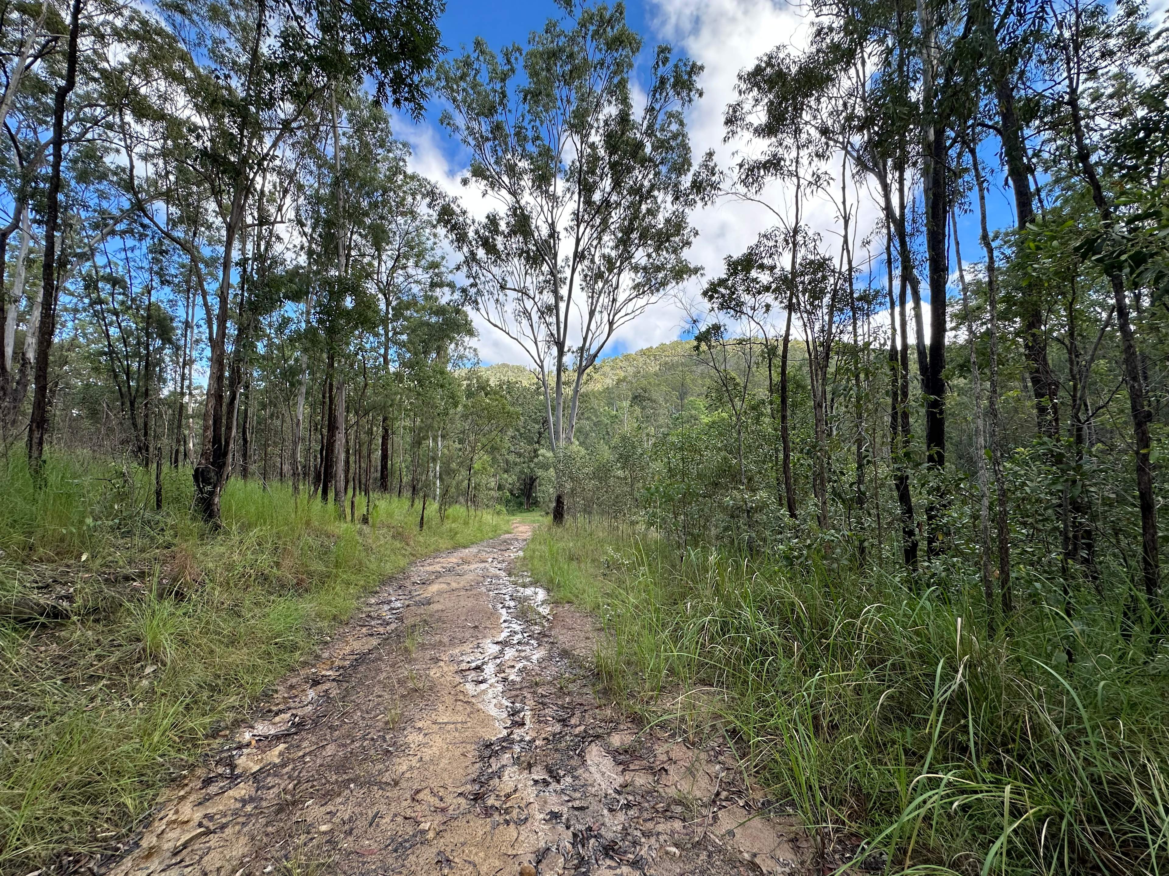 Mookima Wybra Tabulam