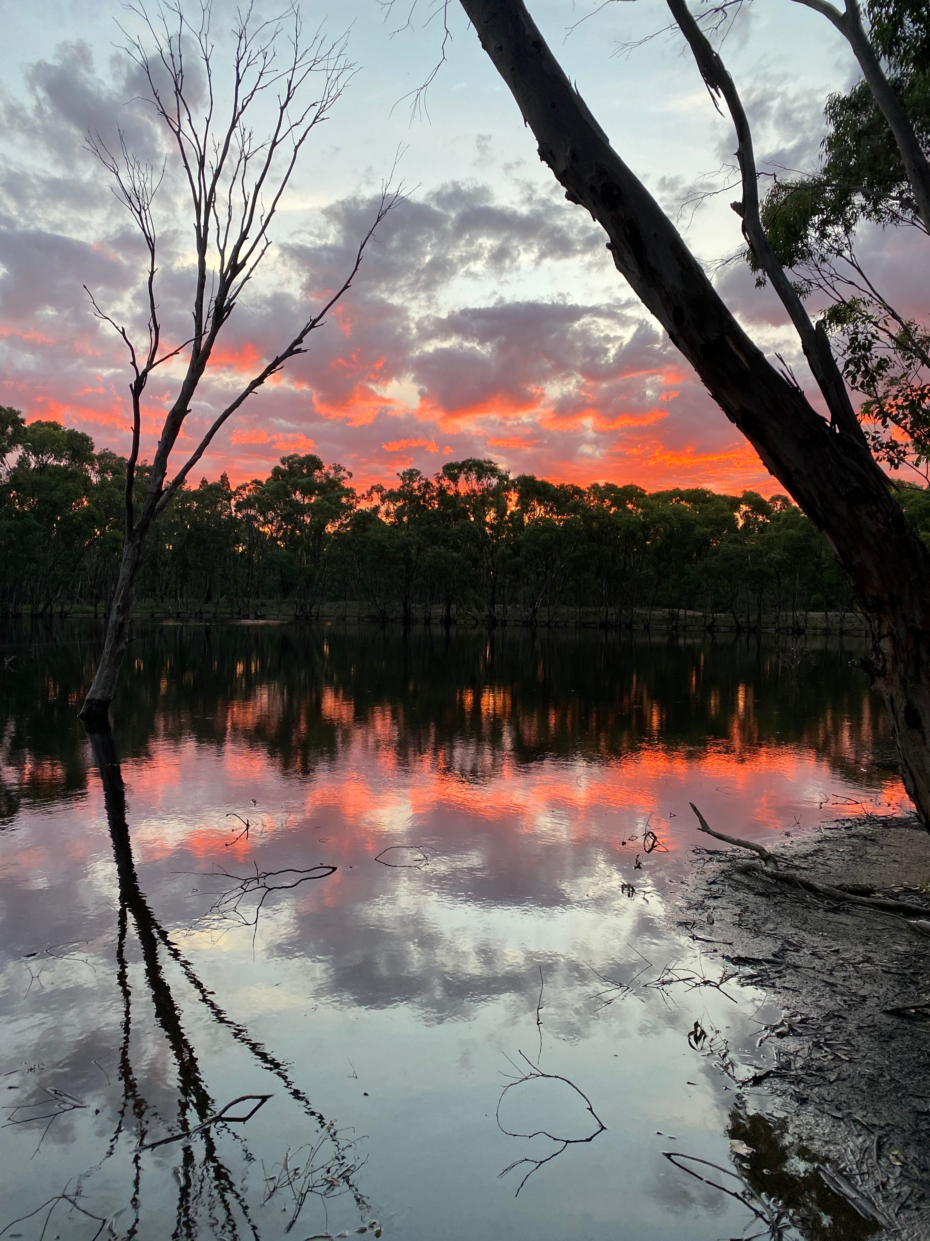 afternoon at the dam