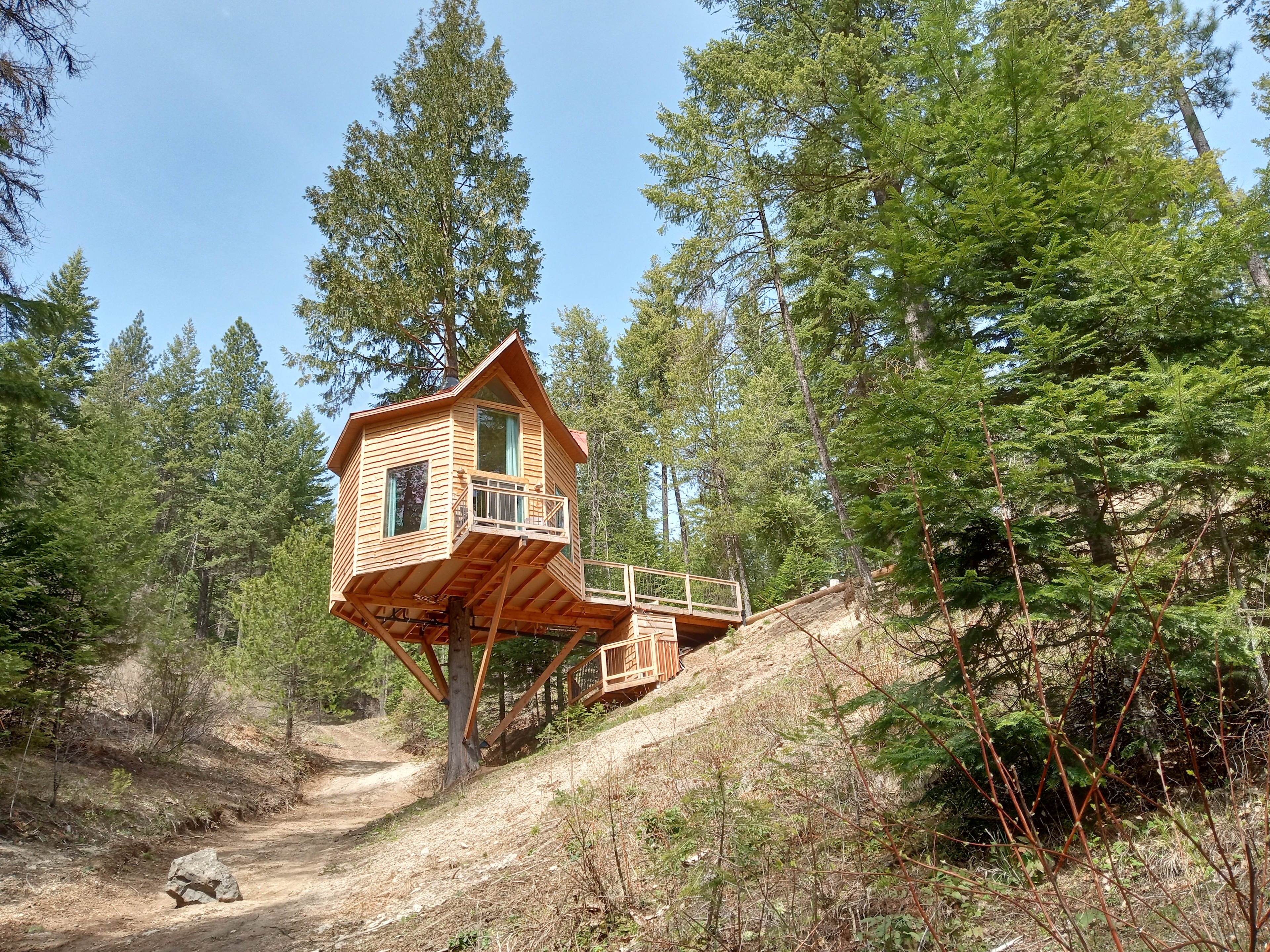 Wild Branches Treehouse