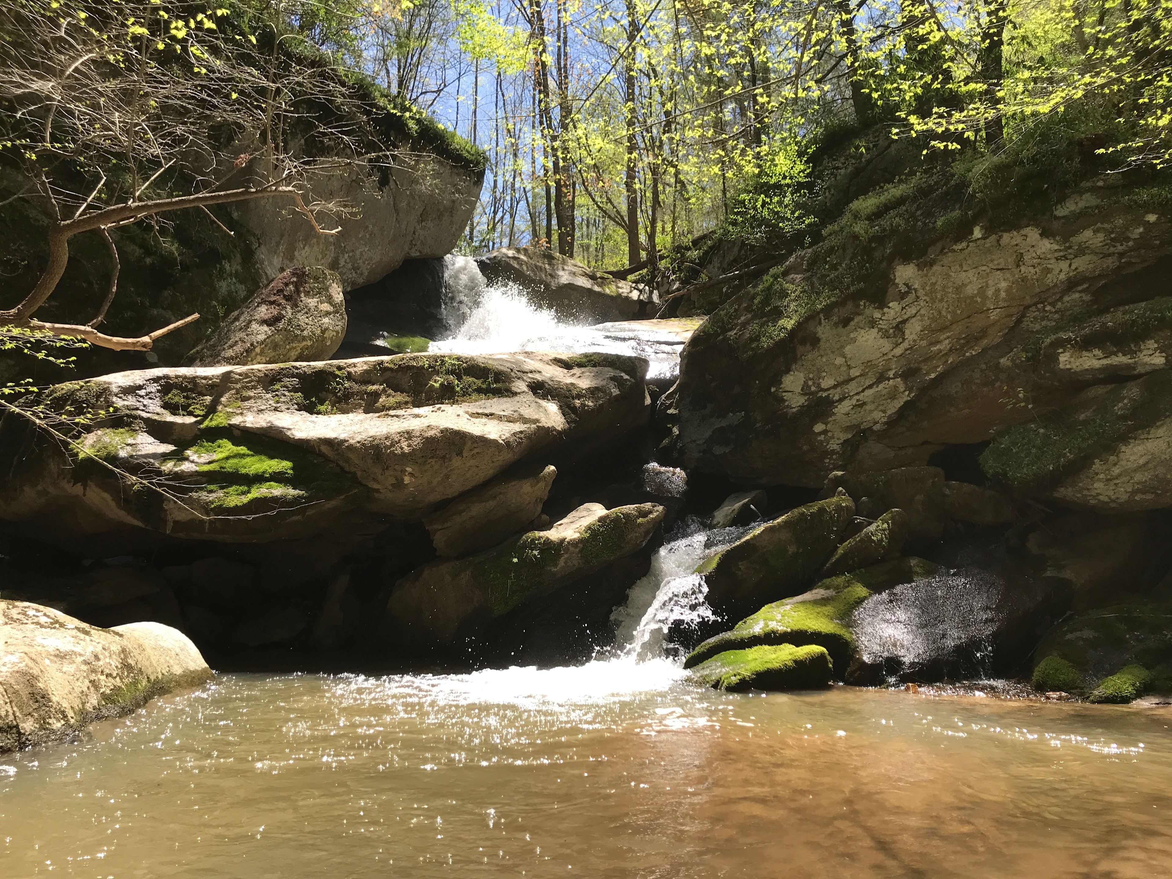 Waterfall Paradise on Paw Paw
